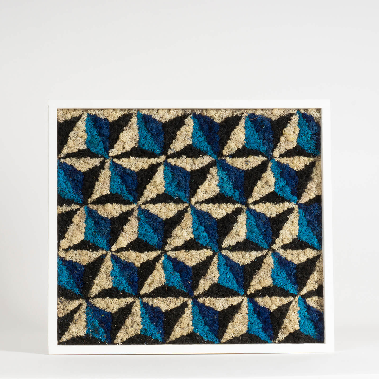 Quadro Piramidi di lichene stabilizzato