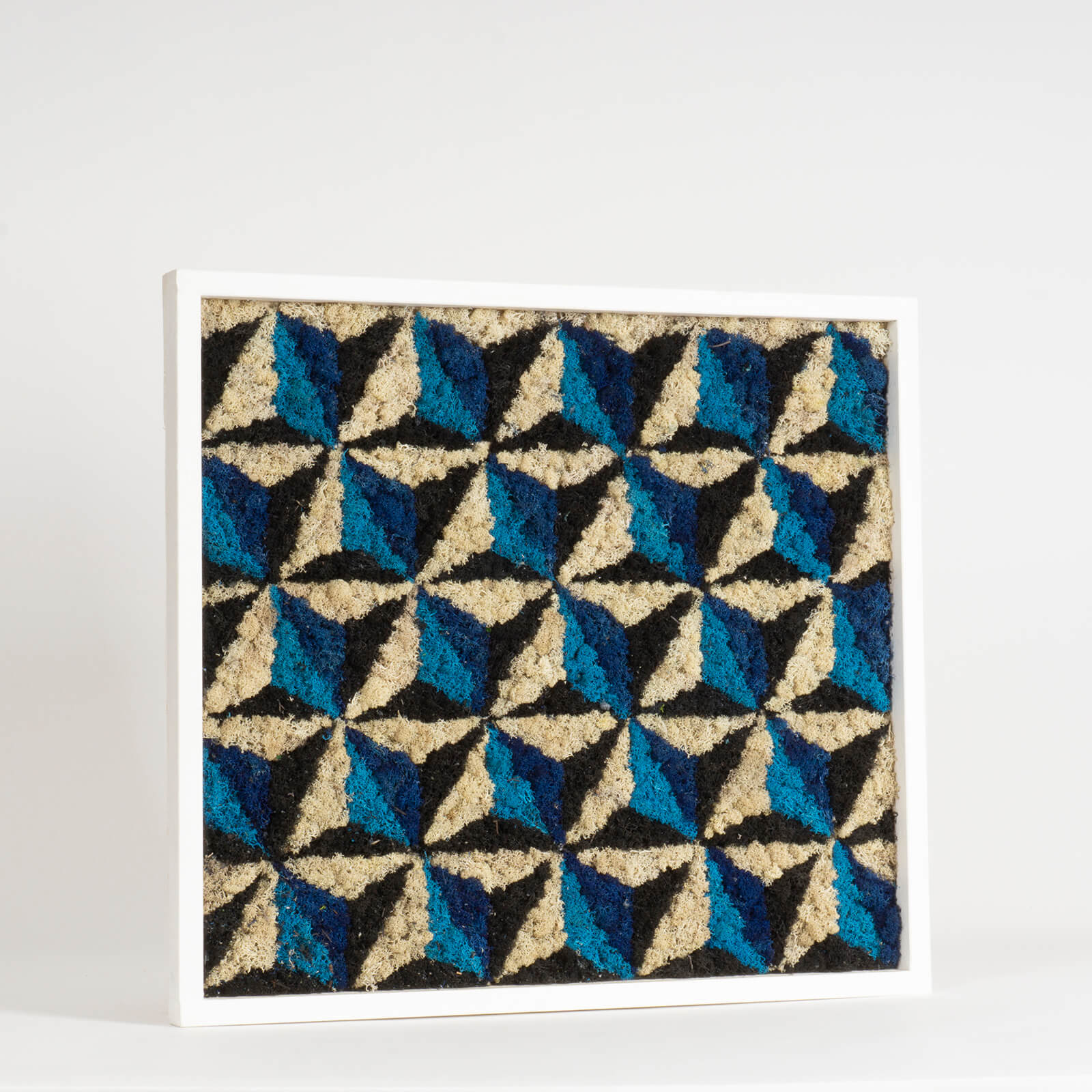 Quadro Piramidi di lichene stabilizzato - immagine 2