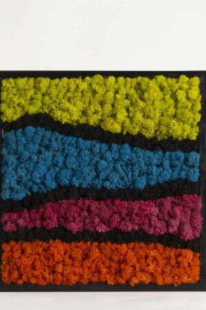 Quadro Arcobaleno lichene stabilizzato