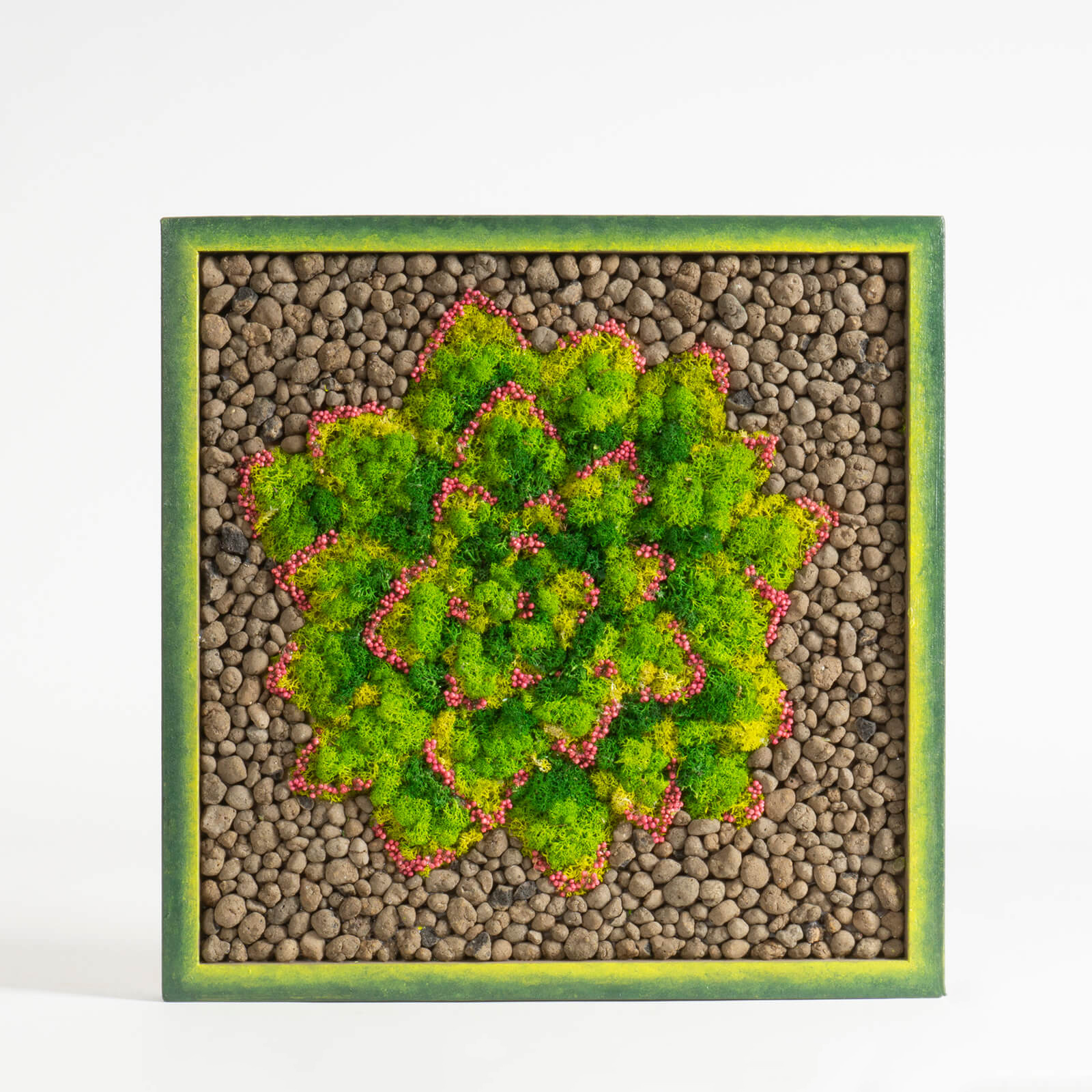 Quadro Echeveria stabilizzata