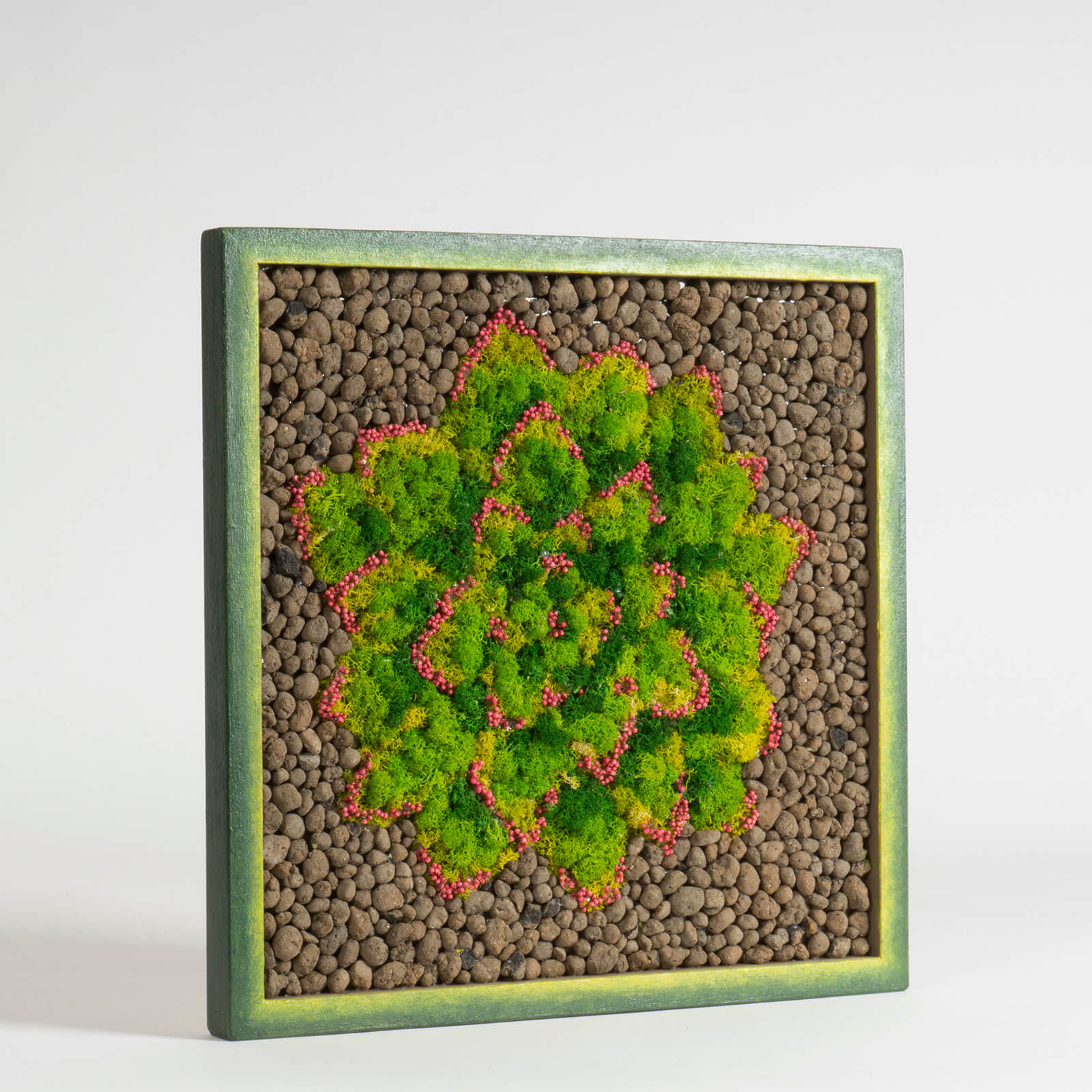 Quadro Echeveria stabilizzata - immagine 2