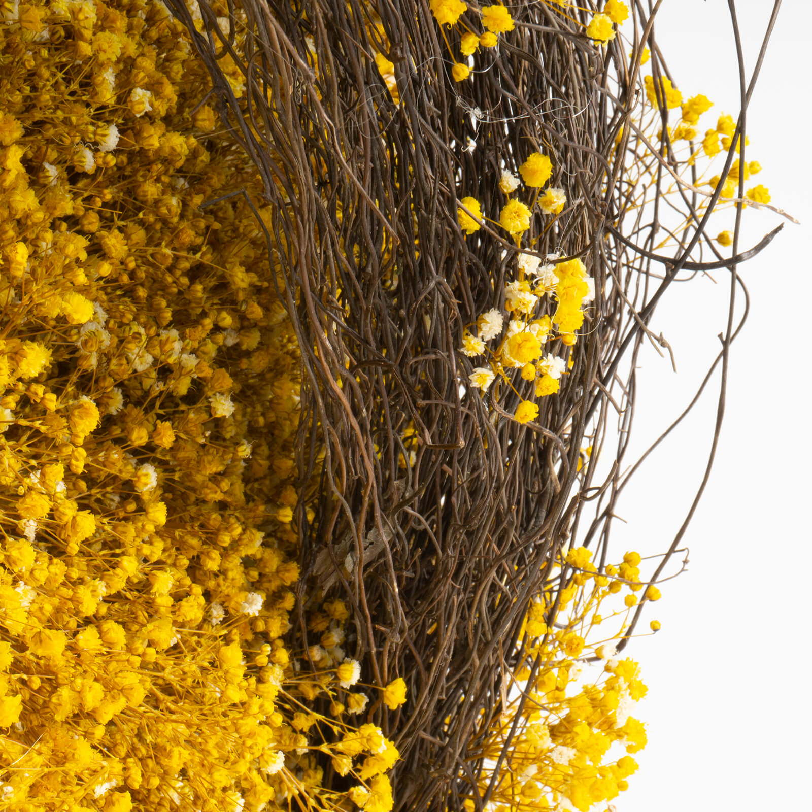 Quadro Gypsophila stabilizzata - immagine 3