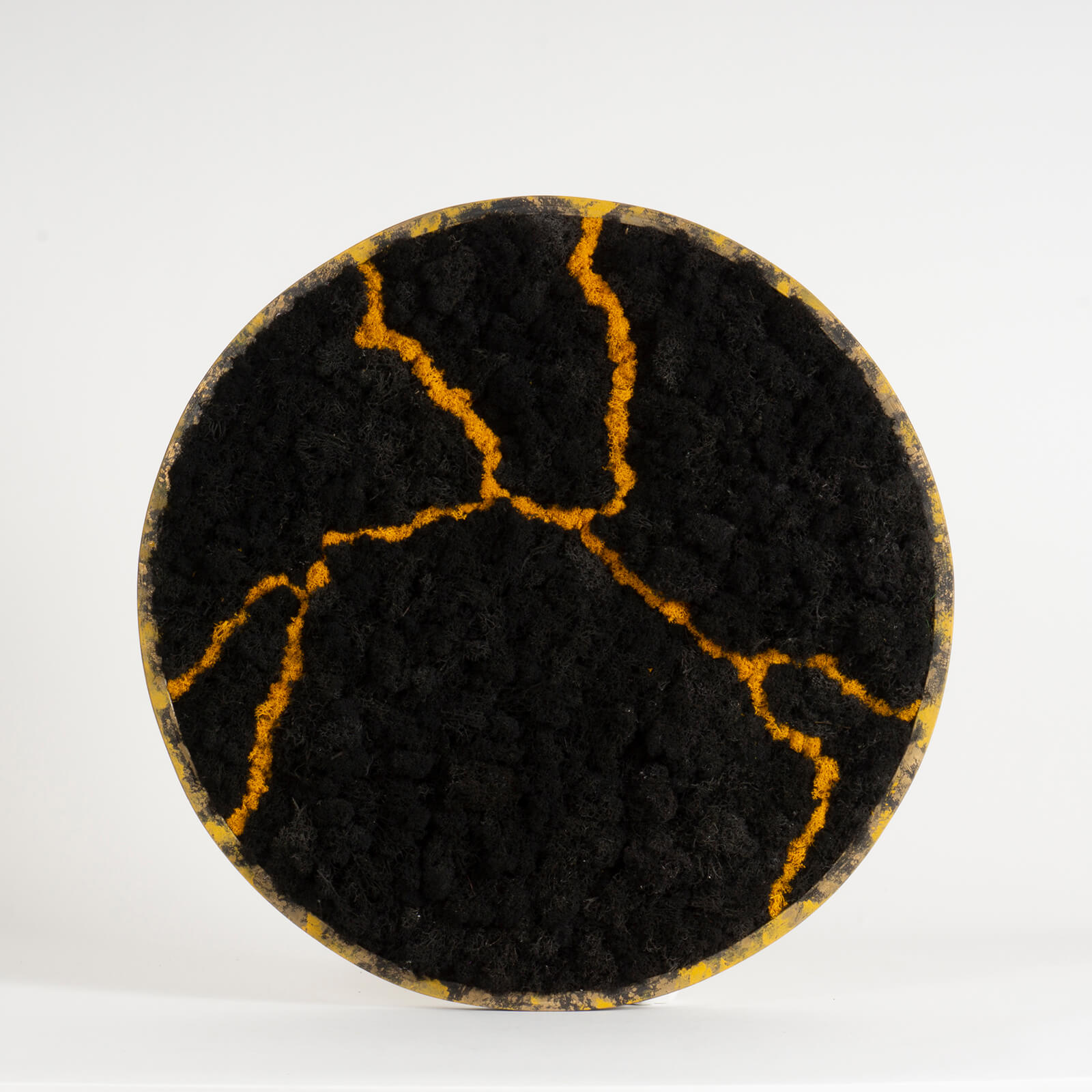 Quadro Kintsugi lichene stabilizzato