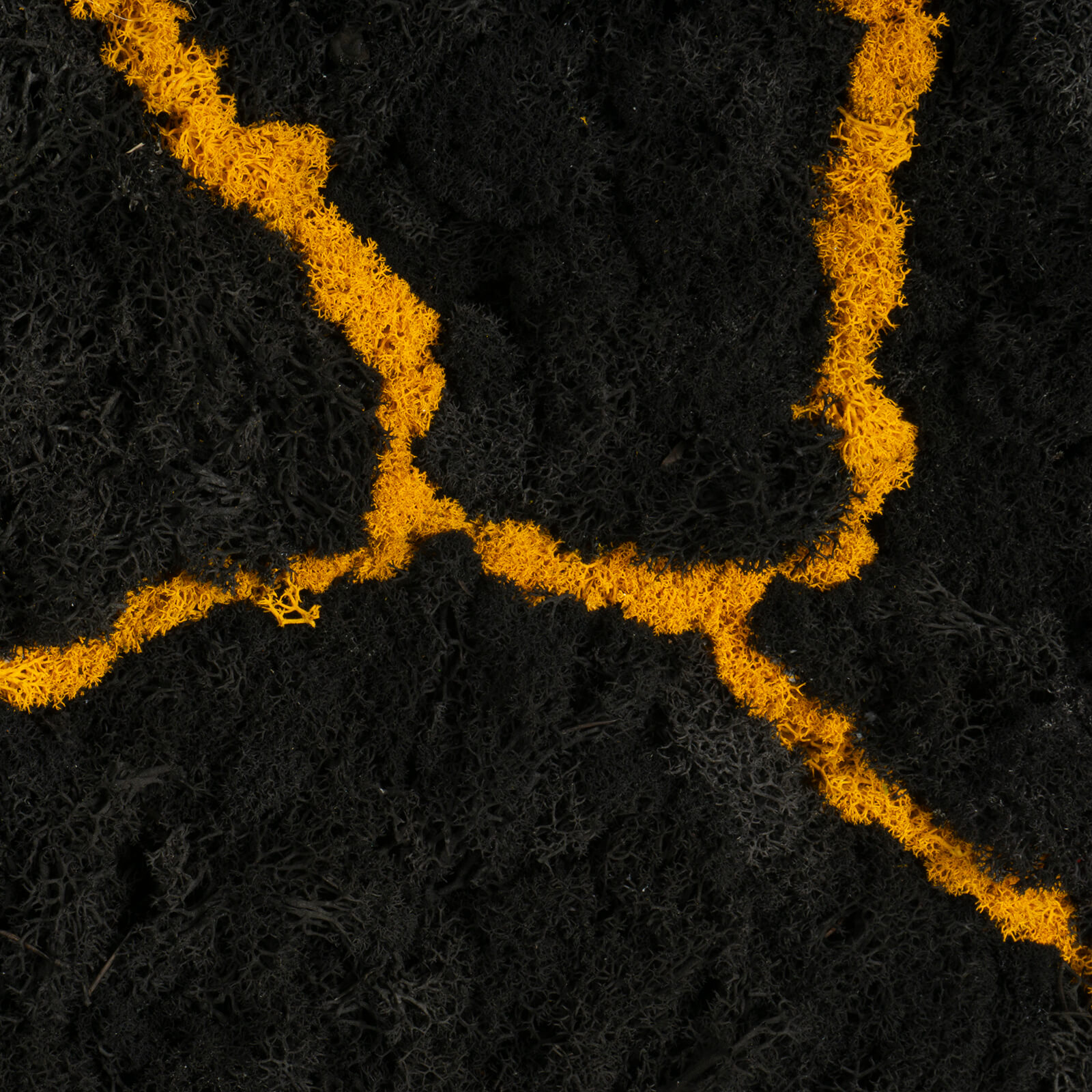 Quadro Kintsugi lichene stabilizzato - immagine 4