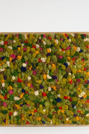 Quadro Lichene con cornice dorata