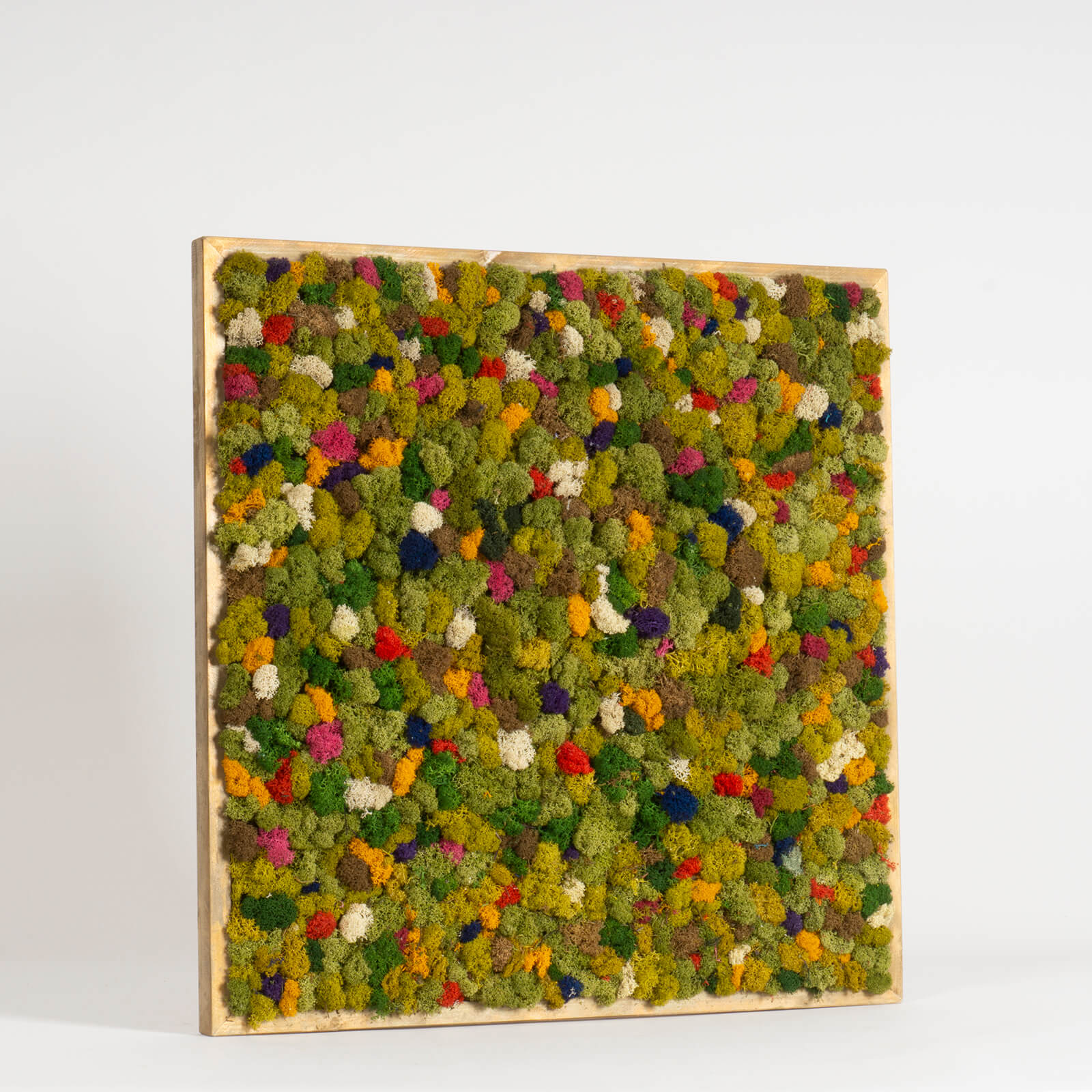 Quadro Lichene con cornice dorata - immagine 2