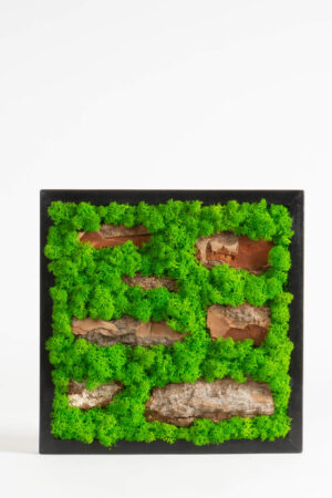 Quadro di lichene effetto mattoncini