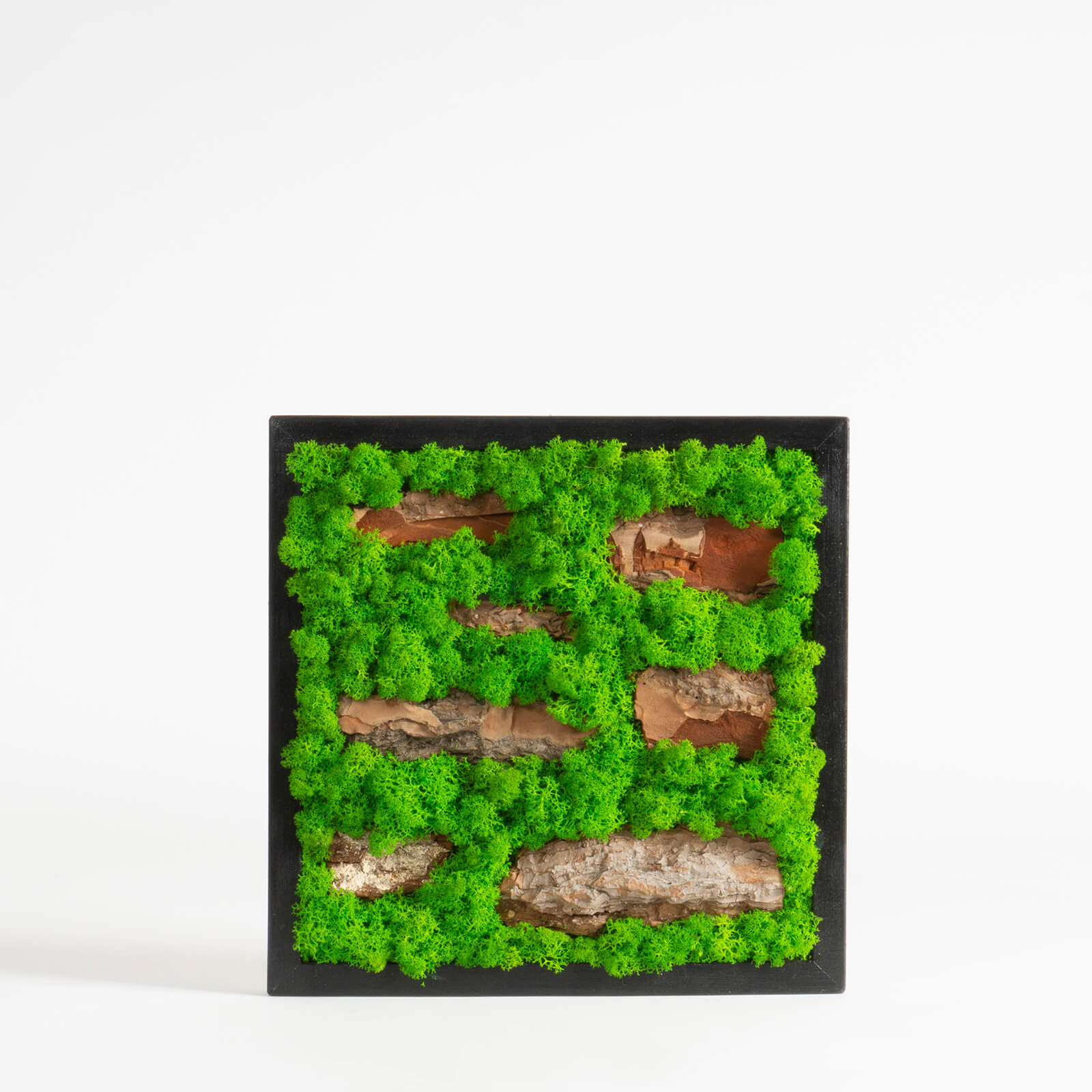 Quadro di lichene effetto mattoncini