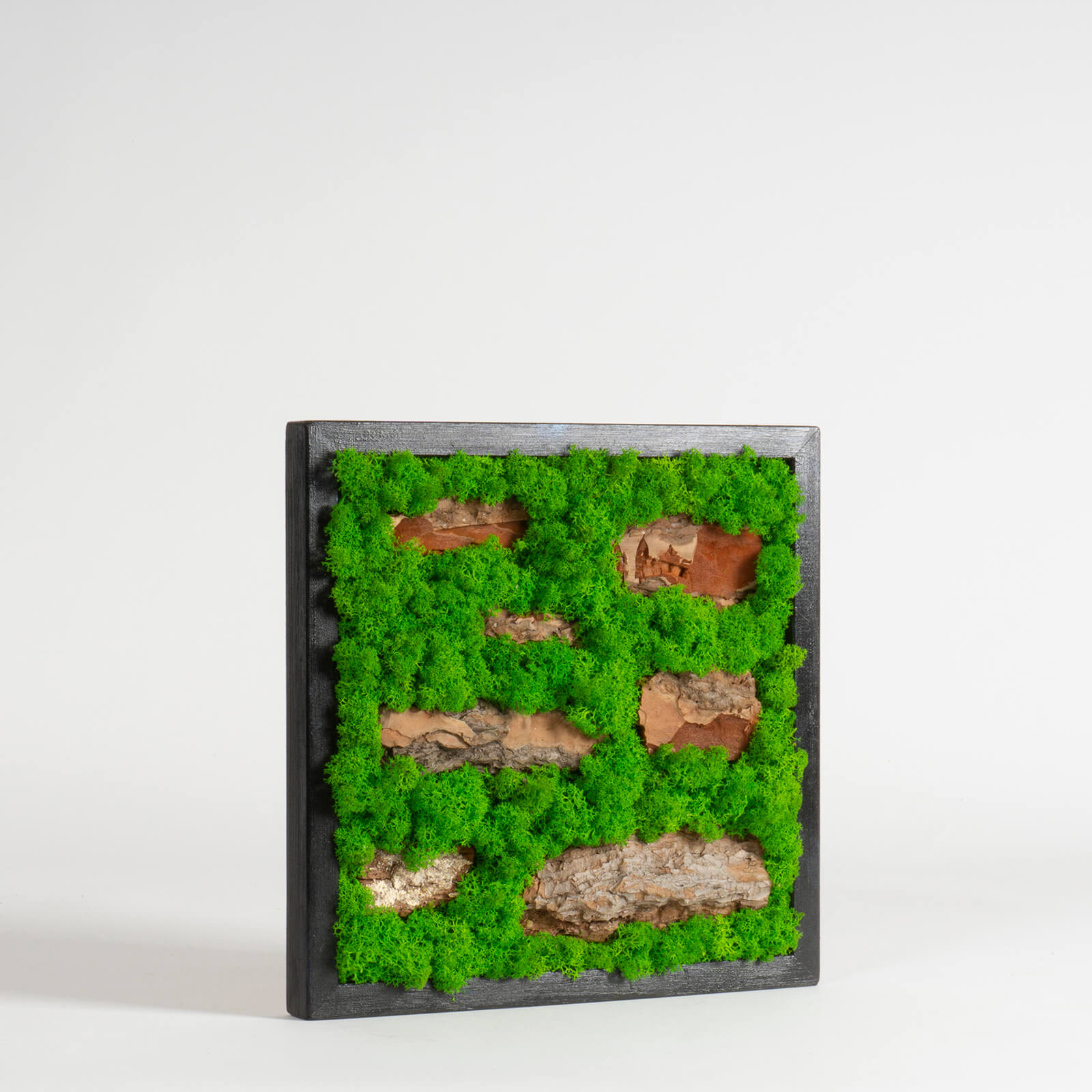 Quadro di lichene effetto mattoncini - immagine 2