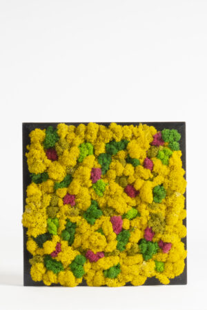 Quadro lichene supercolor