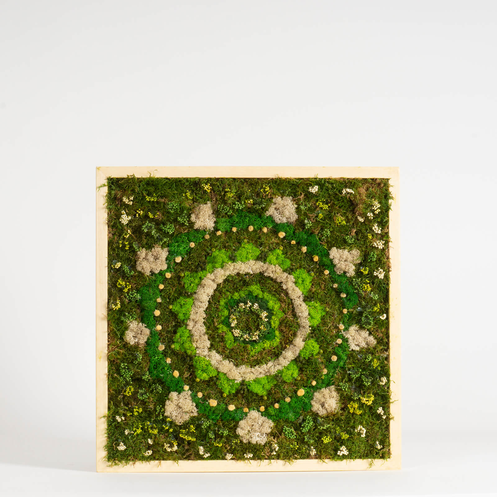 Quadro Mandala stabilizzato