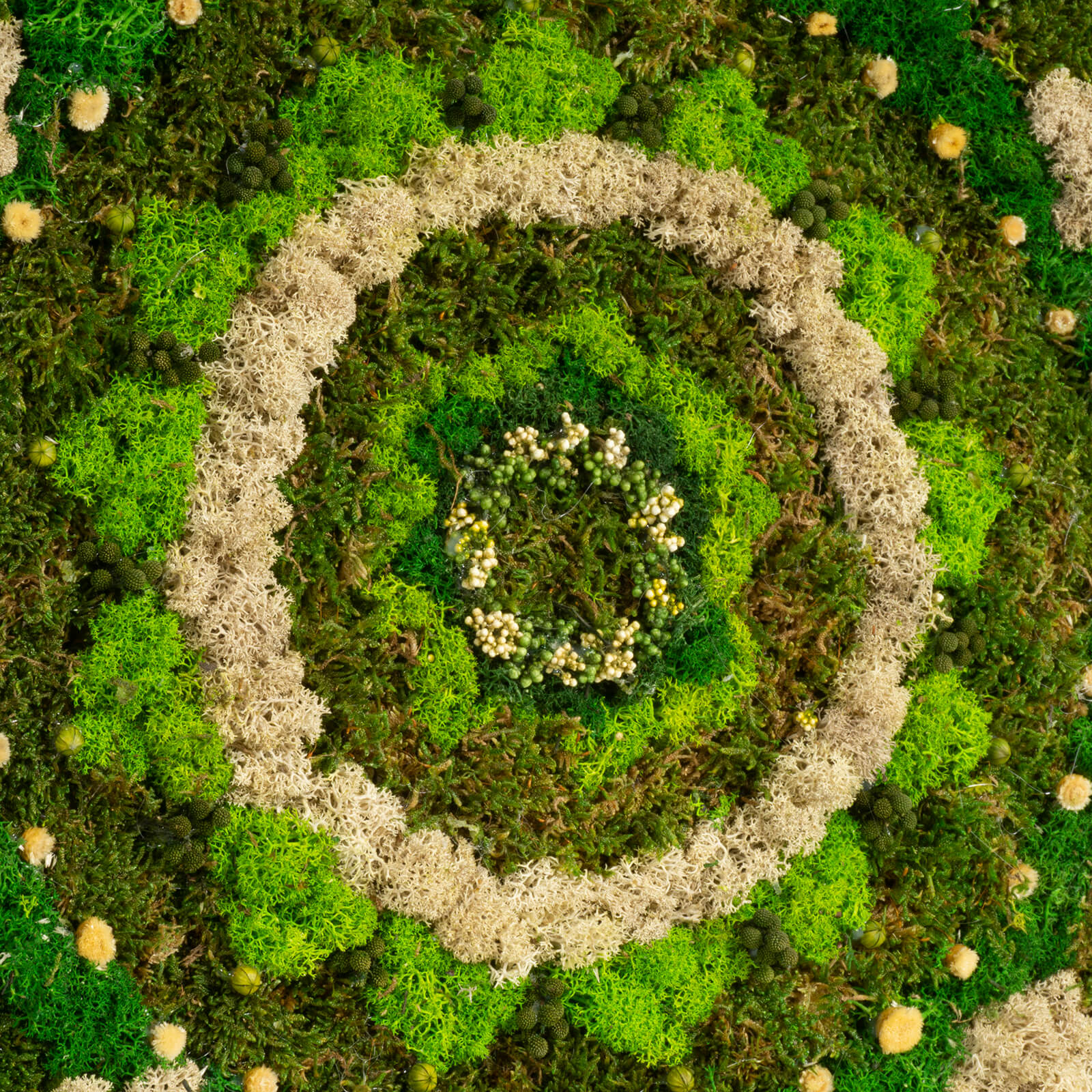 Quadro Mandala stabilizzato - immagine 3
