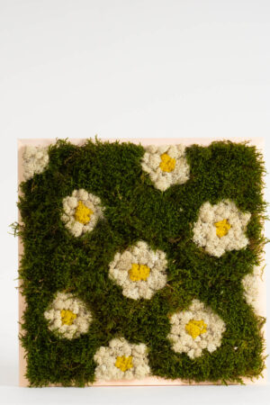 Quadro Margherite di lichene