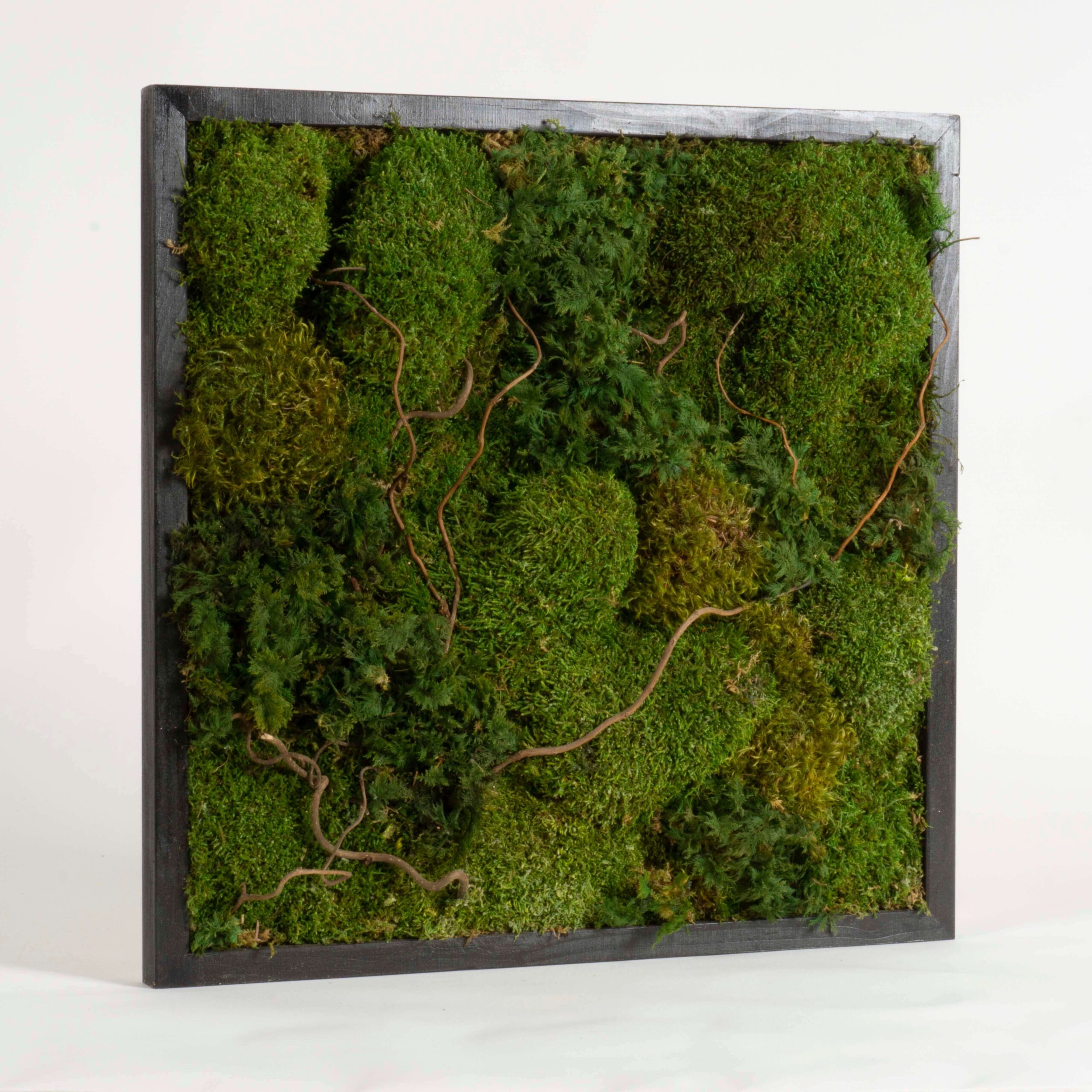 Quadro Muschi e Nocciolo - immagine 2