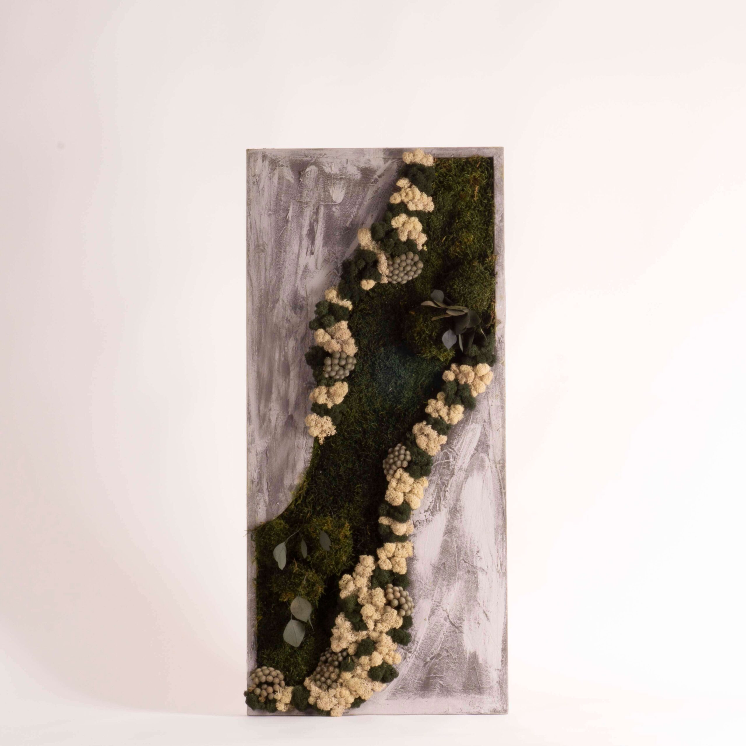 Quadro muschio dark e fiori stabilizzati
