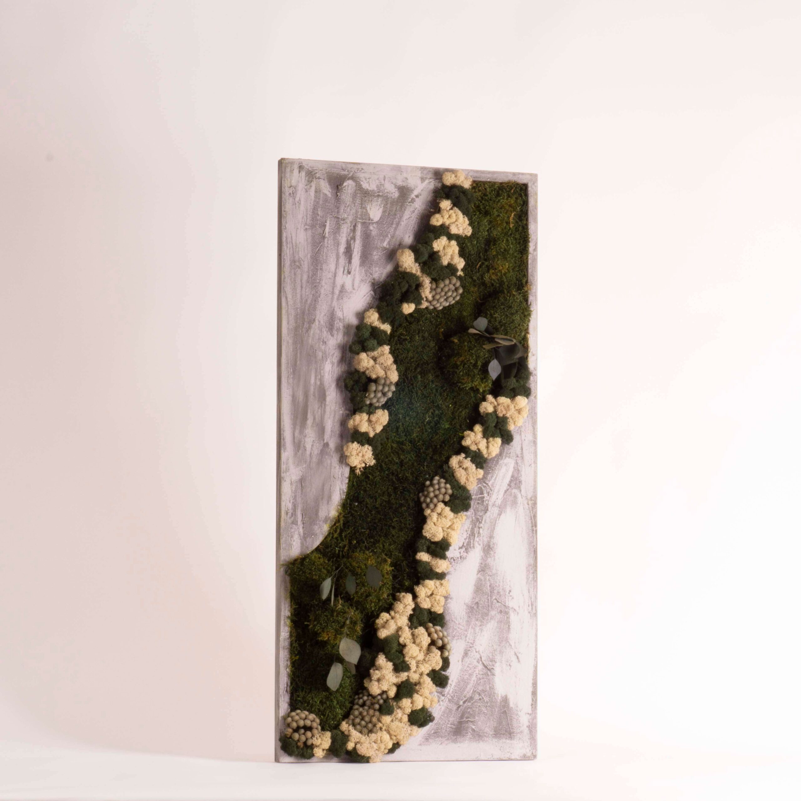Quadro muschio dark e fiori stabilizzati - immagine 2