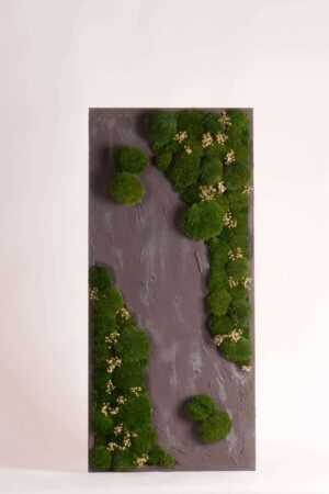 Quadro Muschio roccioso e Gypsophila
