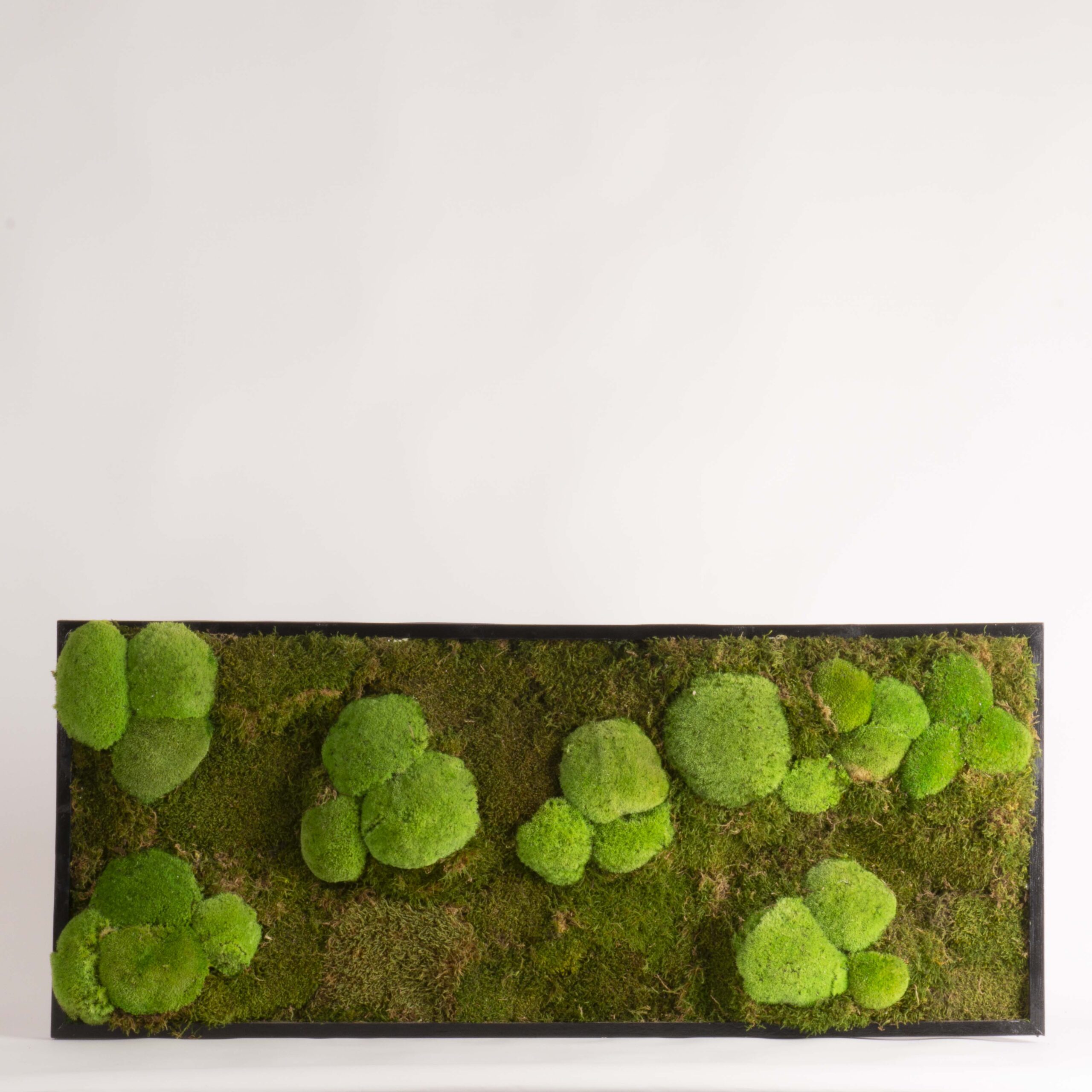 Quadro Muschio tridimensionale
