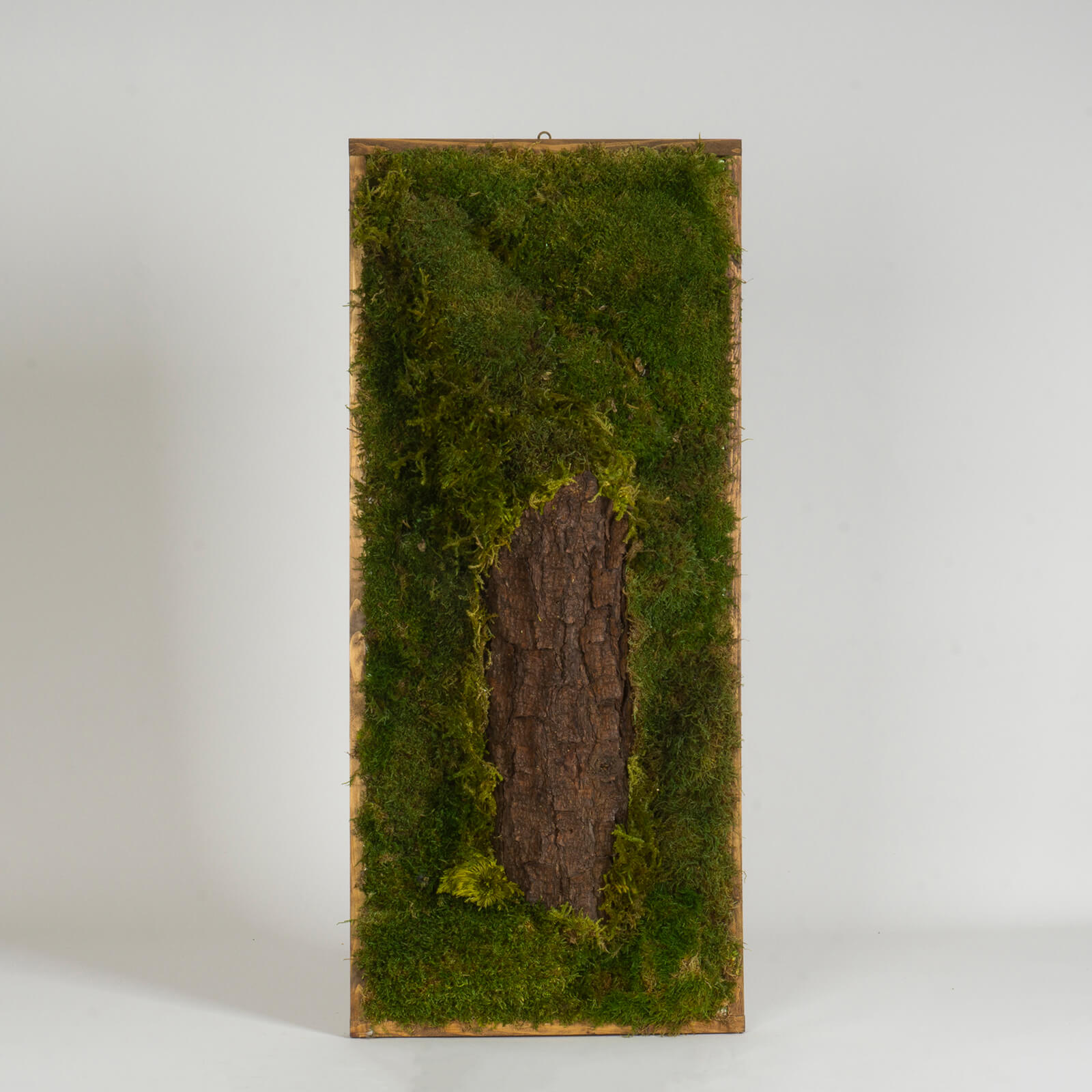 Quadro di muschio con tronco