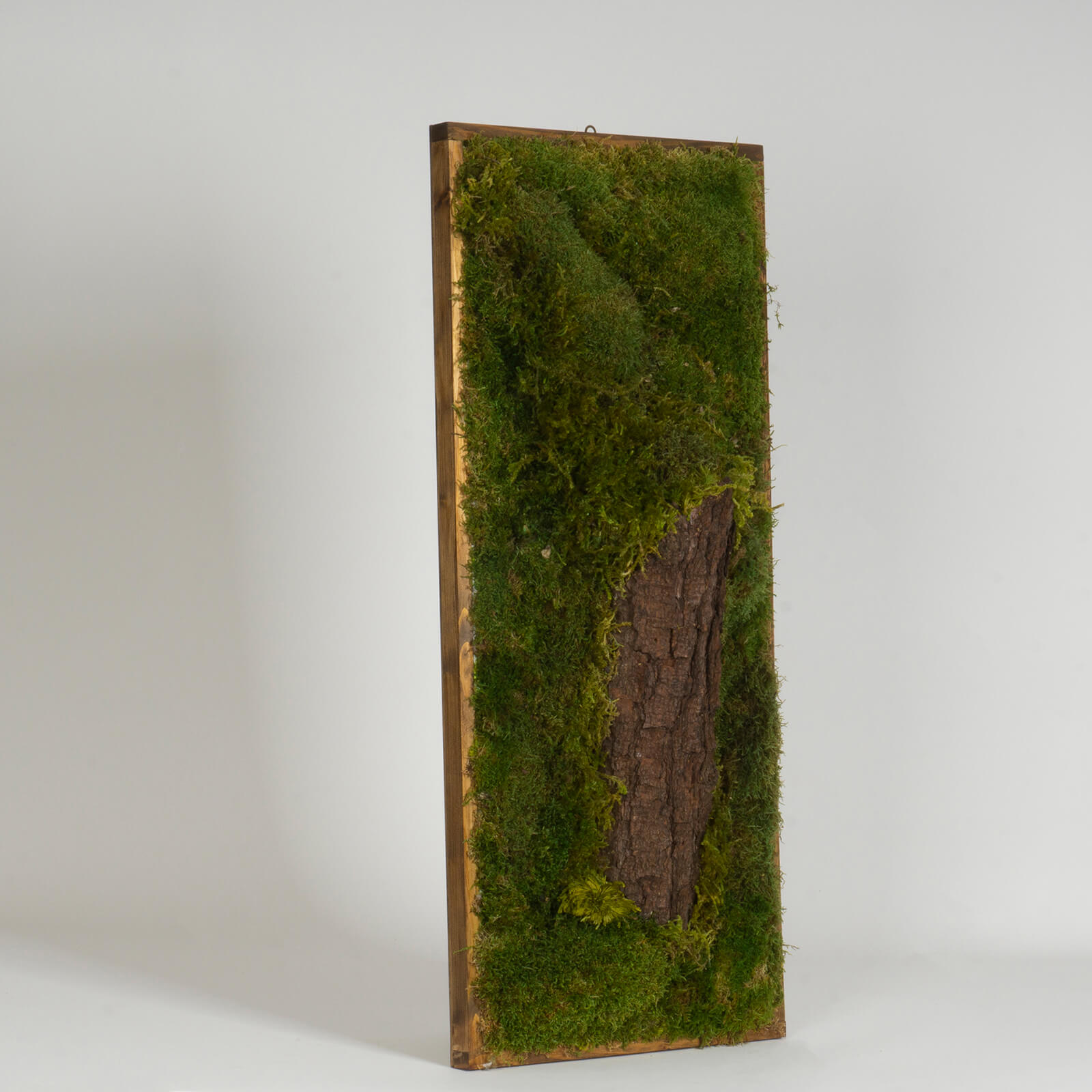 Quadro di muschio con tronco - immagine 2