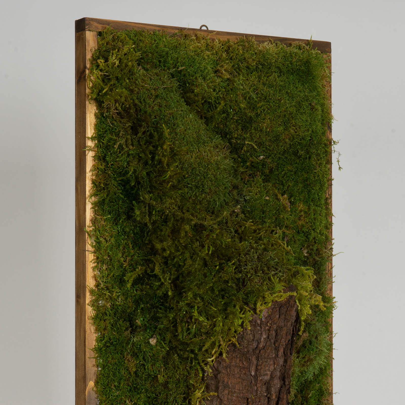 Quadro di muschio con tronco - immagine 3