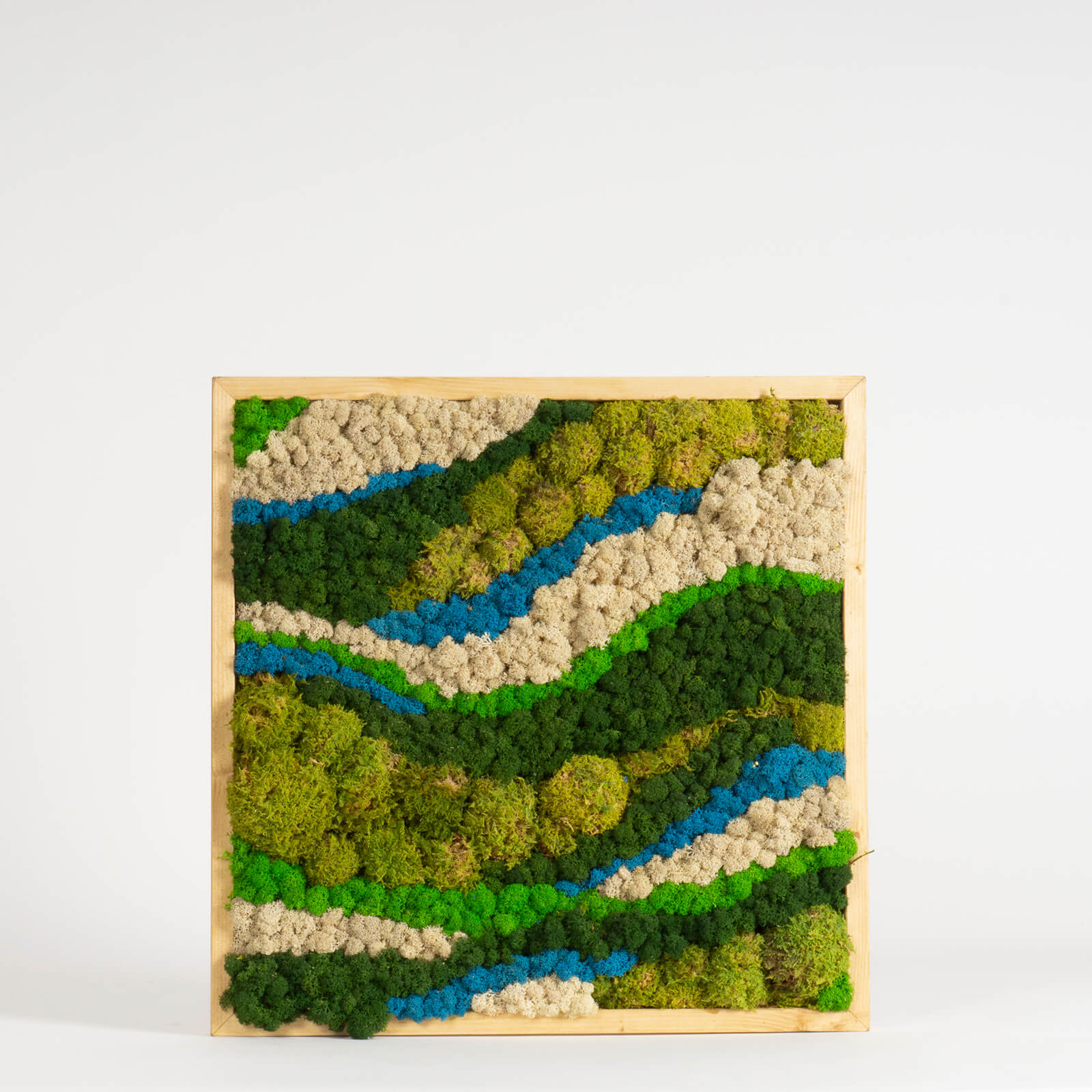 Quadro onde di lichene e muschio