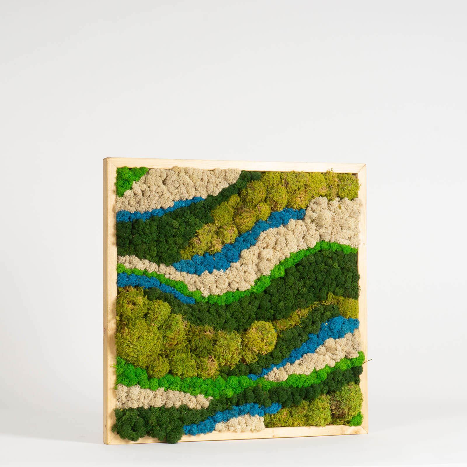 Quadro onde di lichene e muschio - immagine 2