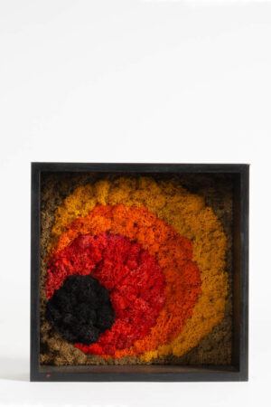 Quadro portaoggetti con lichene stabilizzato