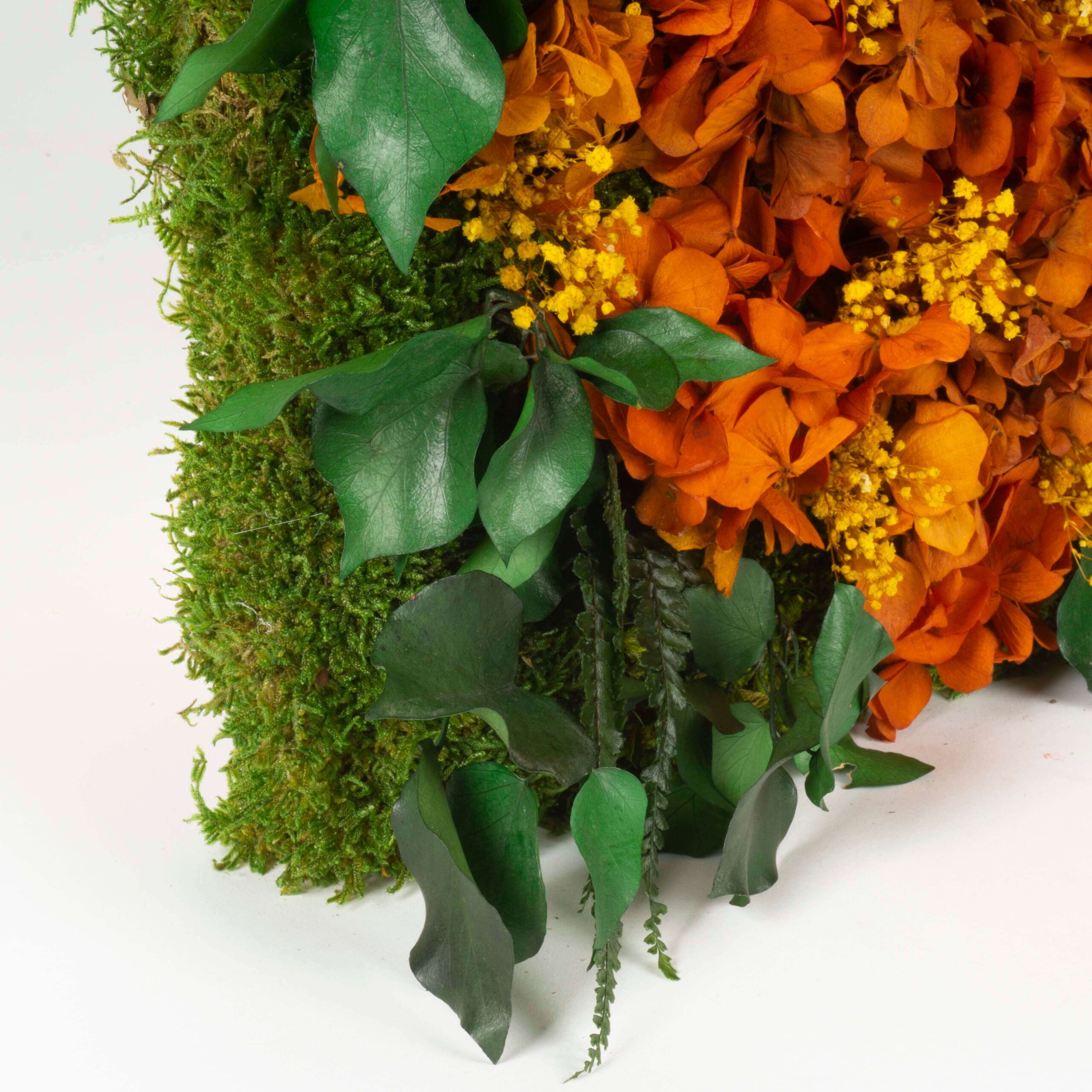 Quadro Rombo Ortensie stabilizzate - immagine 3