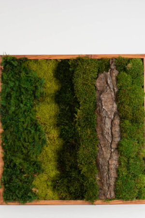 Quadro sezioni muschio stabilizzato