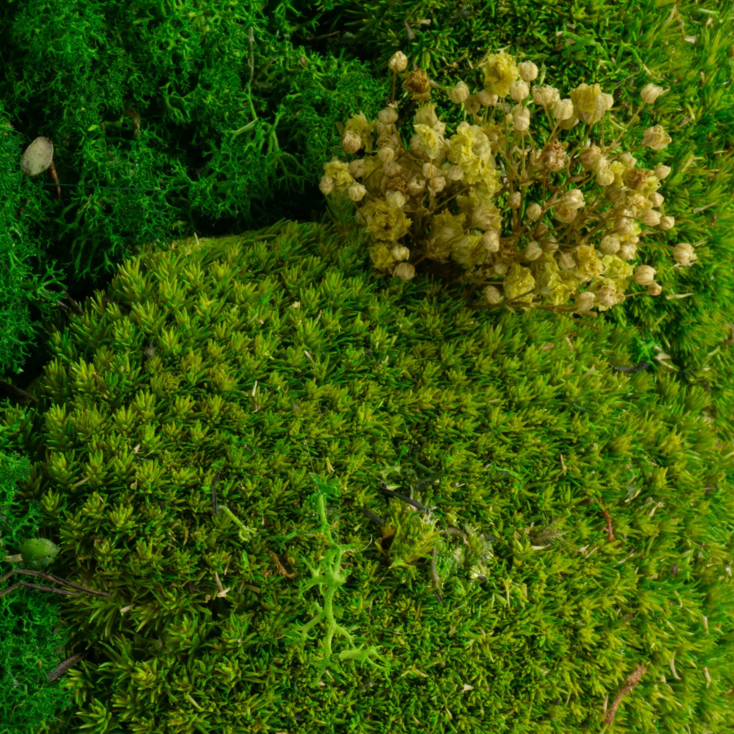 Quadro stabilizzato tridimensionale - immagine 3