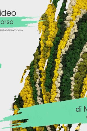 Video corso di Moss Design