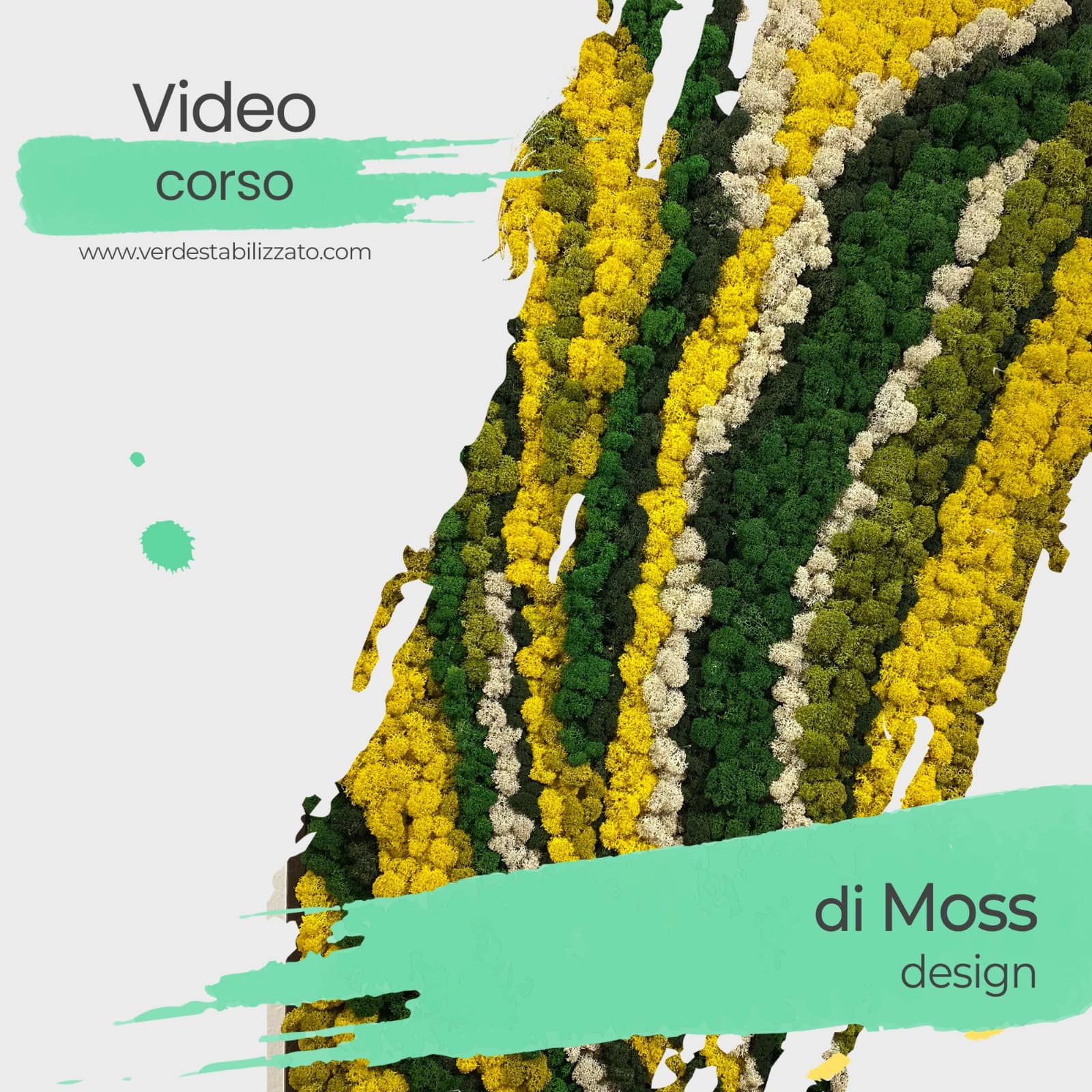 Video corso di Moss Design