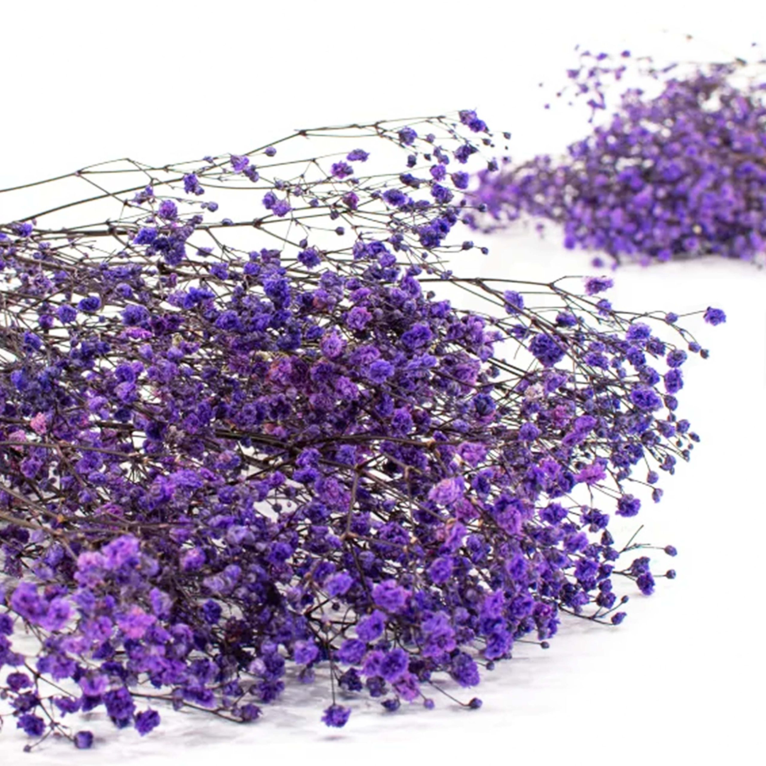 Gypsophila viola stabilizzata - immagine 3