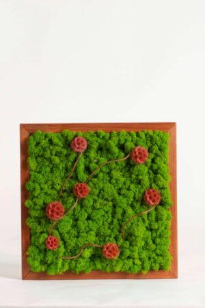 Quadro Lichene verde e Scabiosa