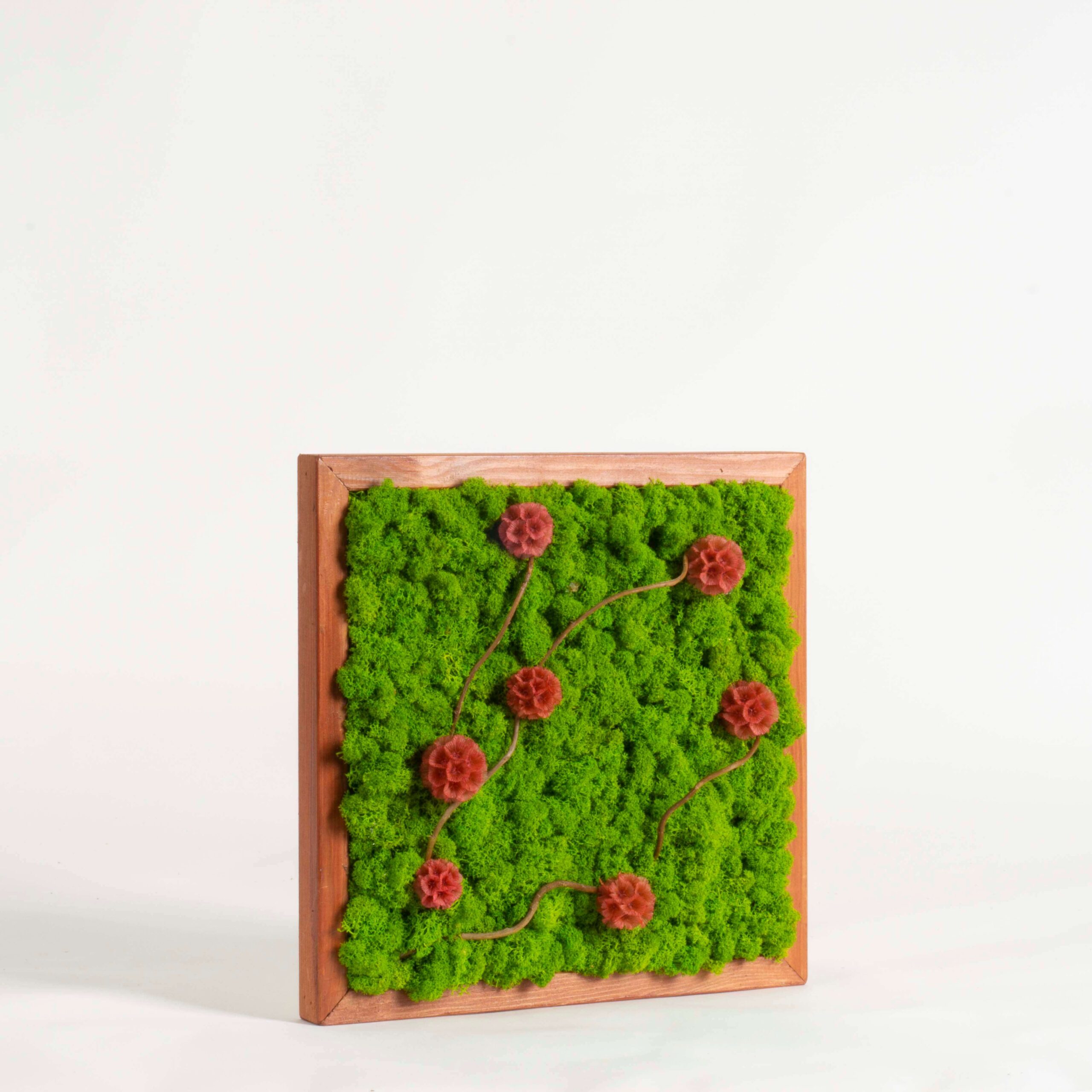 Quadro Lichene verde e Scabiosa - immagine 2