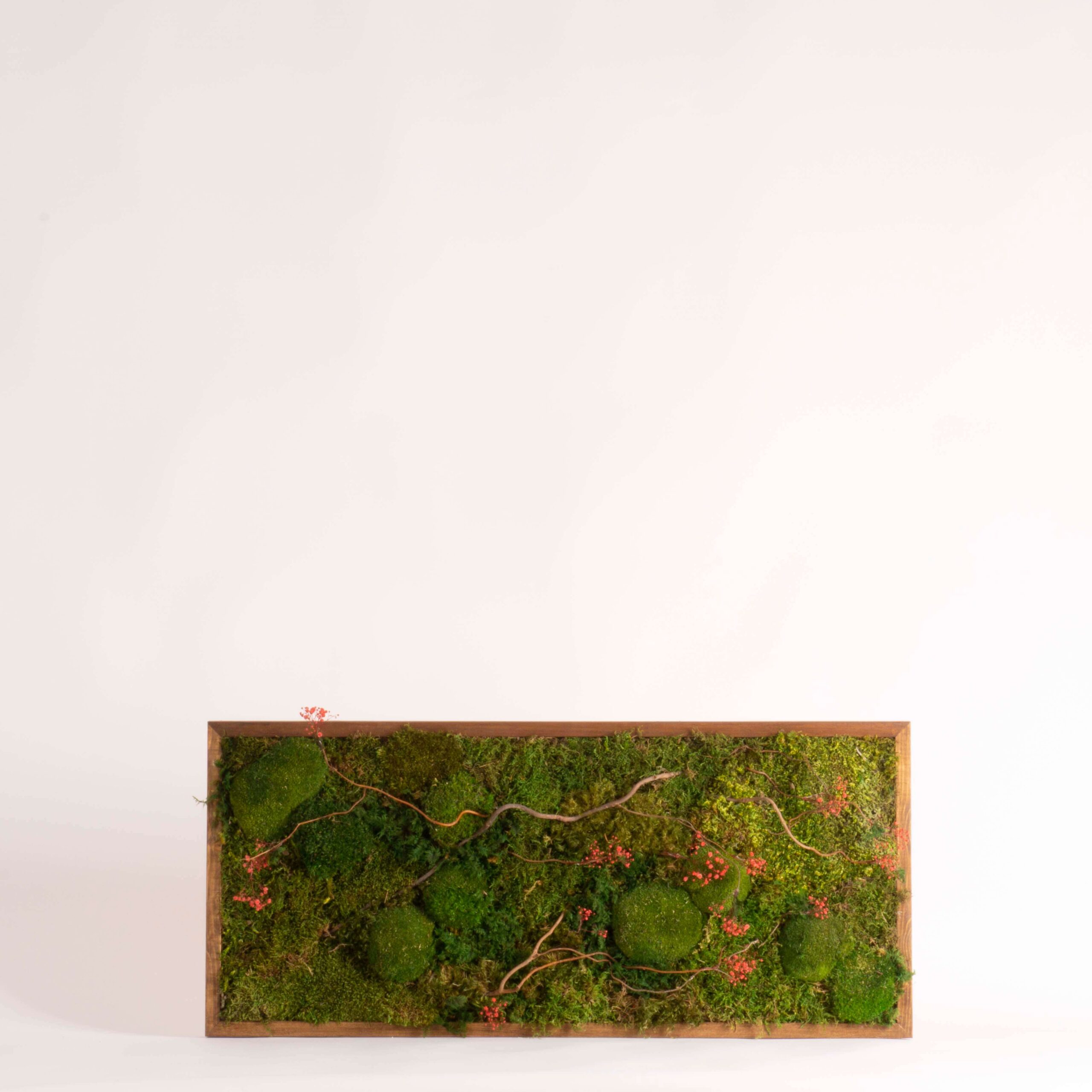 Quadro Muschi e Gypsophila