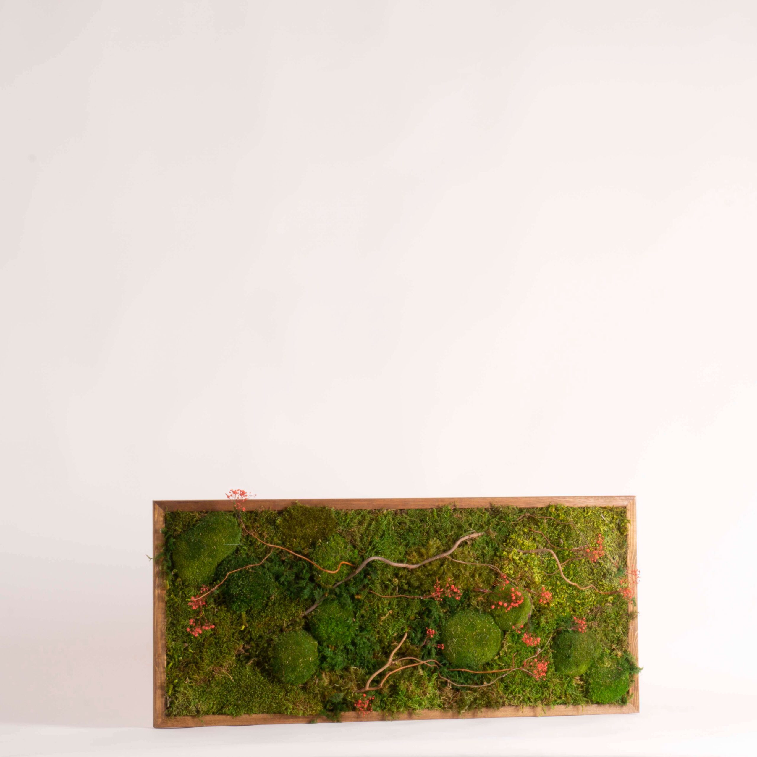 Quadro Muschi e Gypsophila - immagine 2