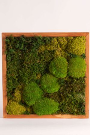 Quadro muschio mix