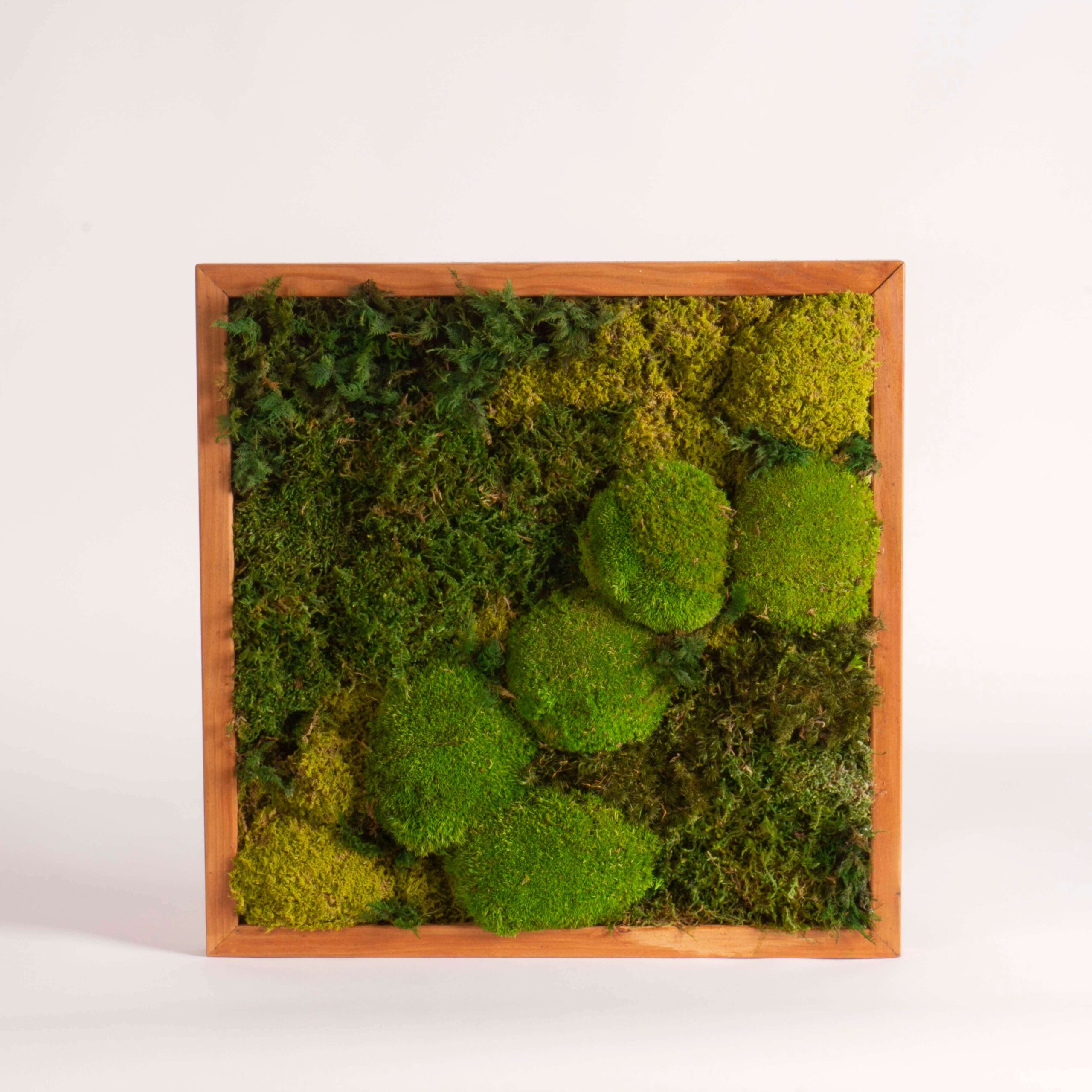 Quadro muschio mix