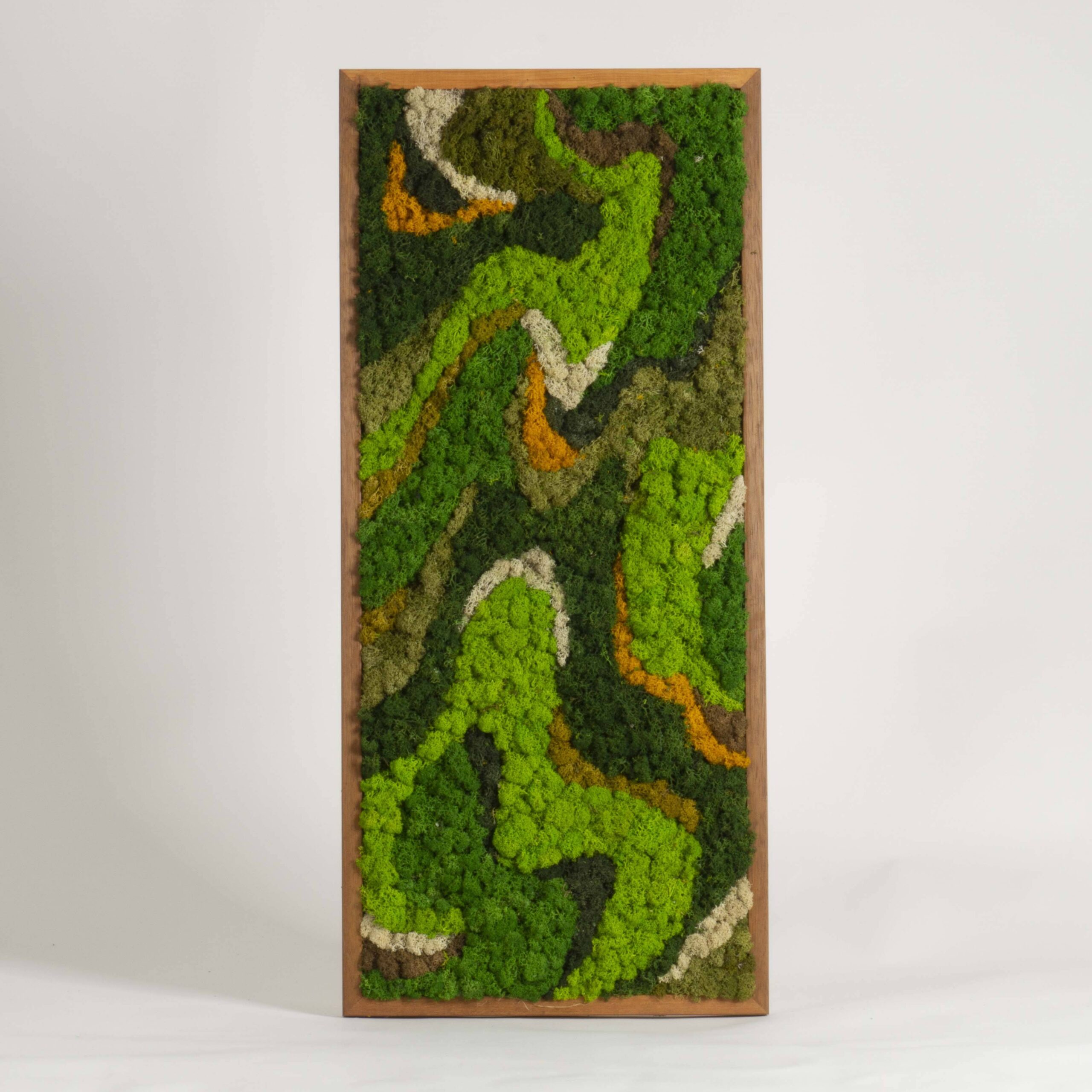 Quadro onde di lichene
