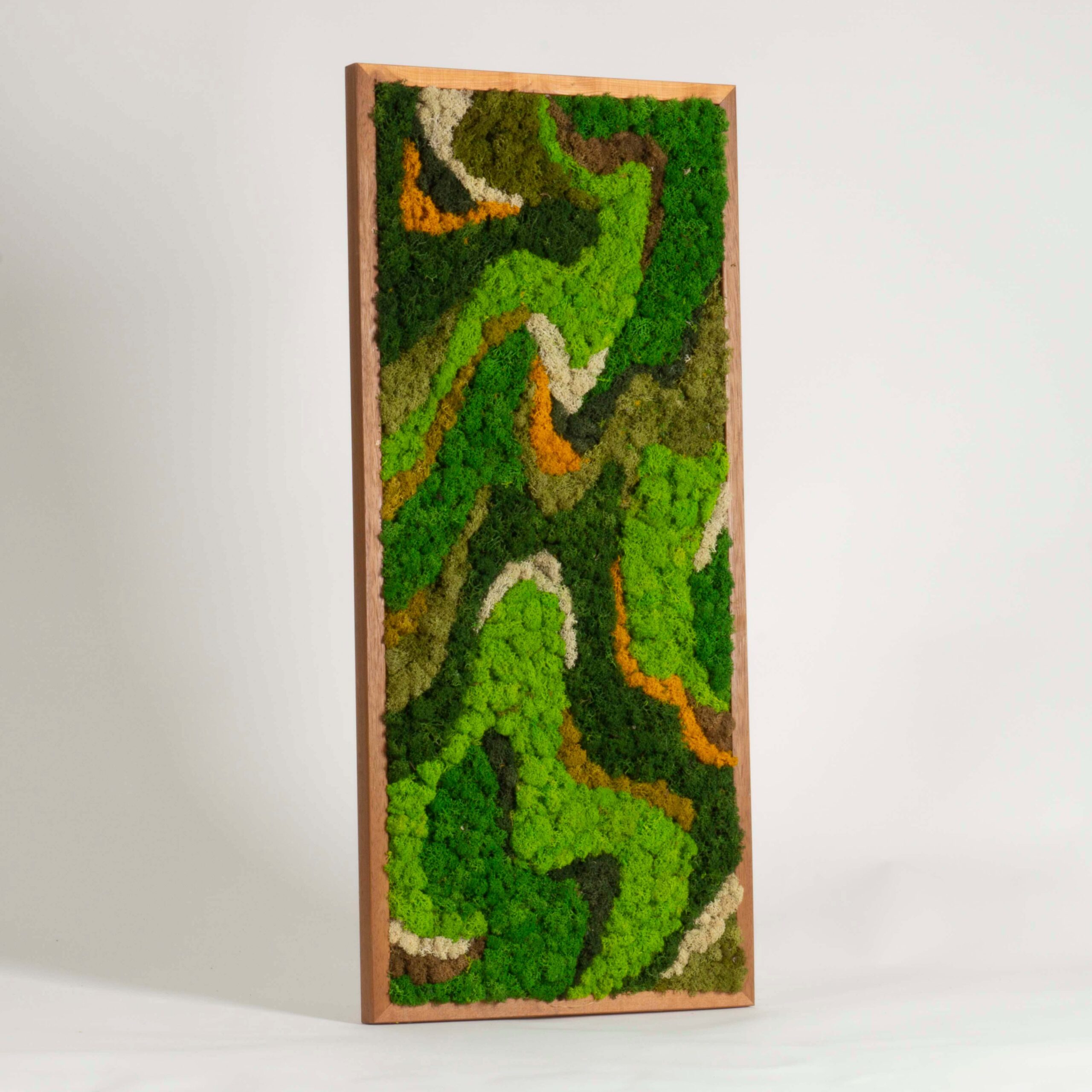 Quadro onde di lichene - immagine 2
