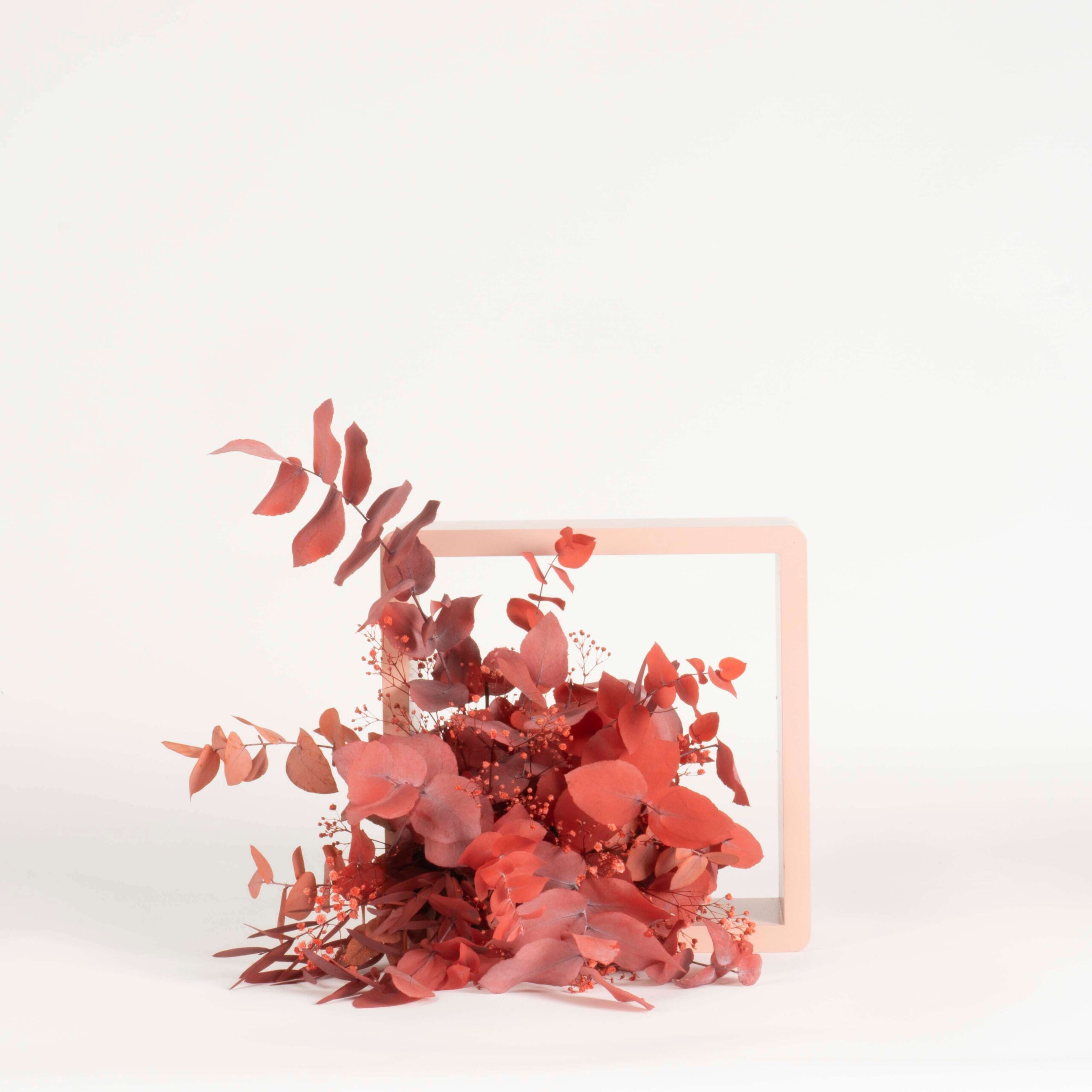 Cubotto Design medium