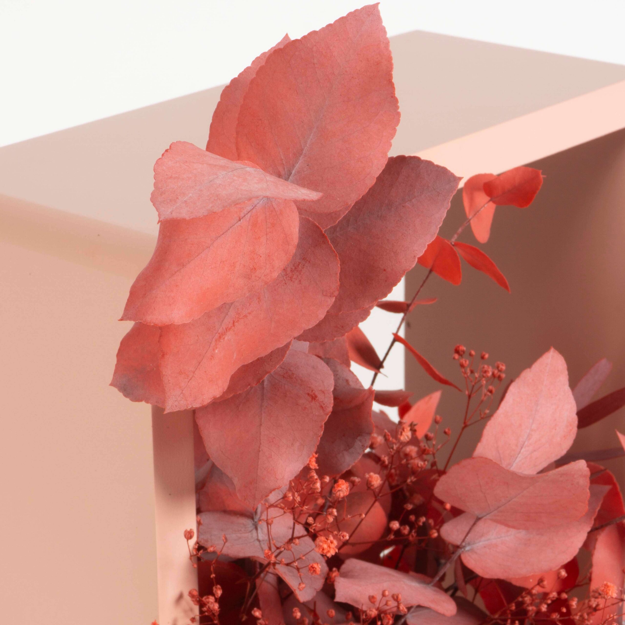 Cubotto Design medium - immagine 3