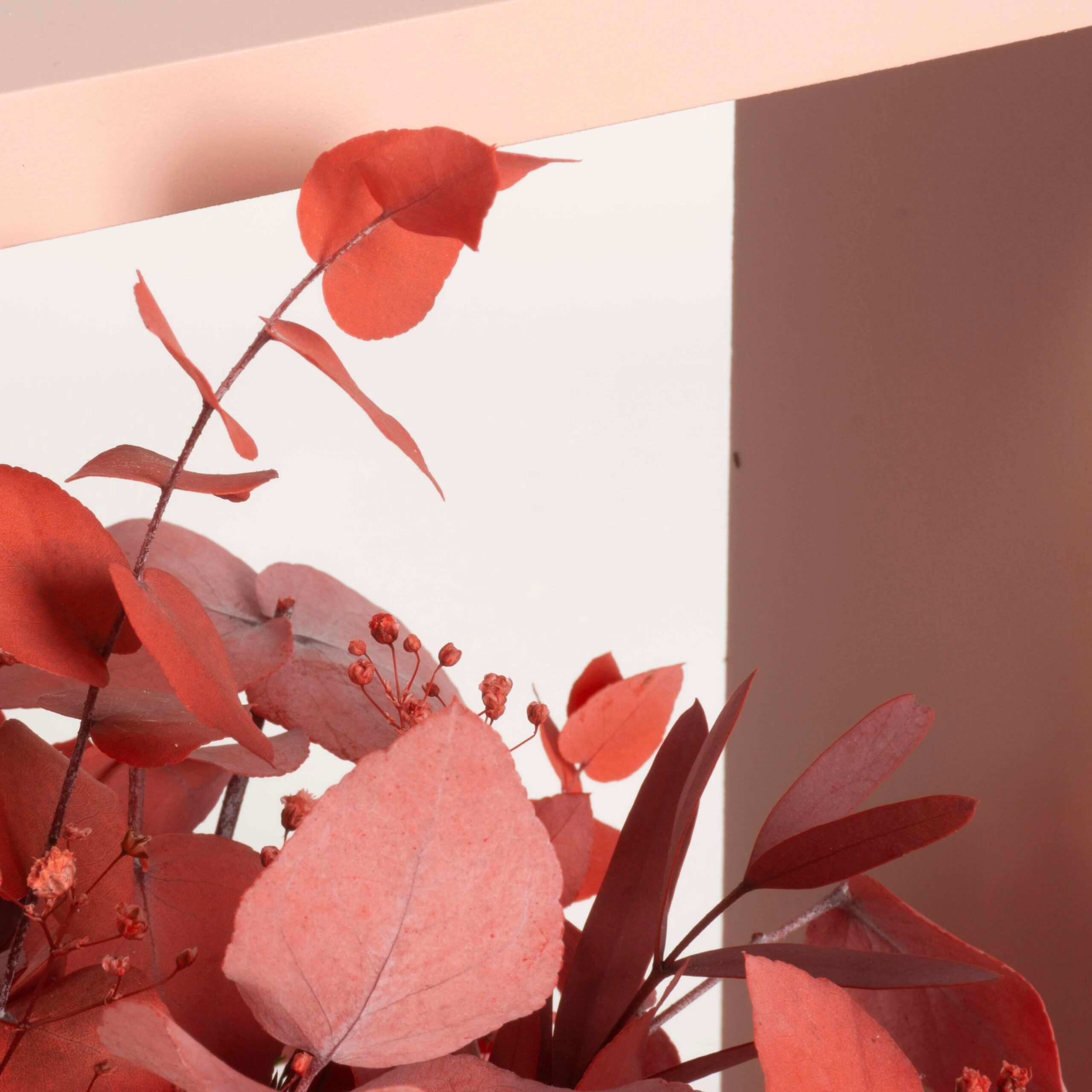 Cubotto Design medium - immagine 4