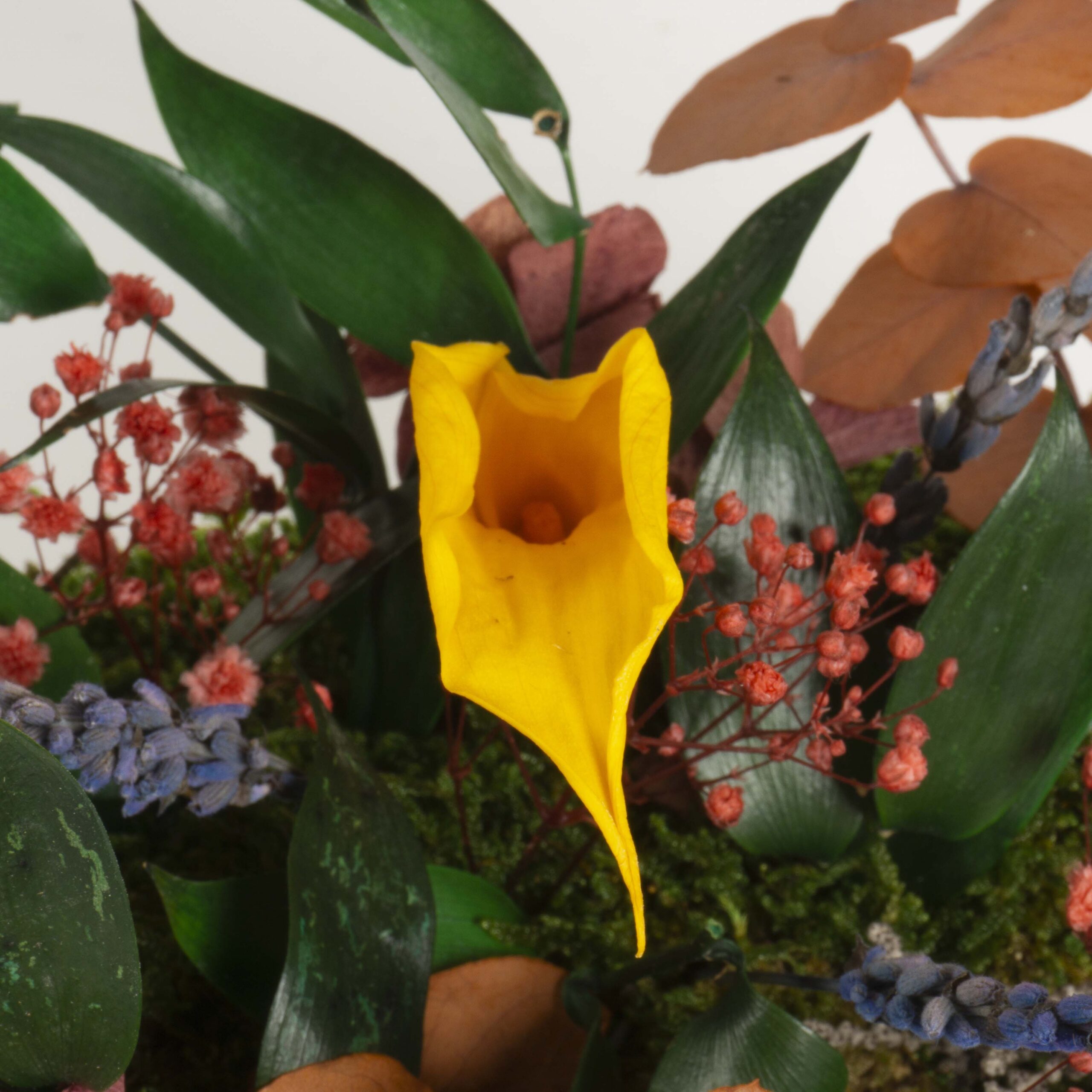 Cubotto Design small - immagine 4