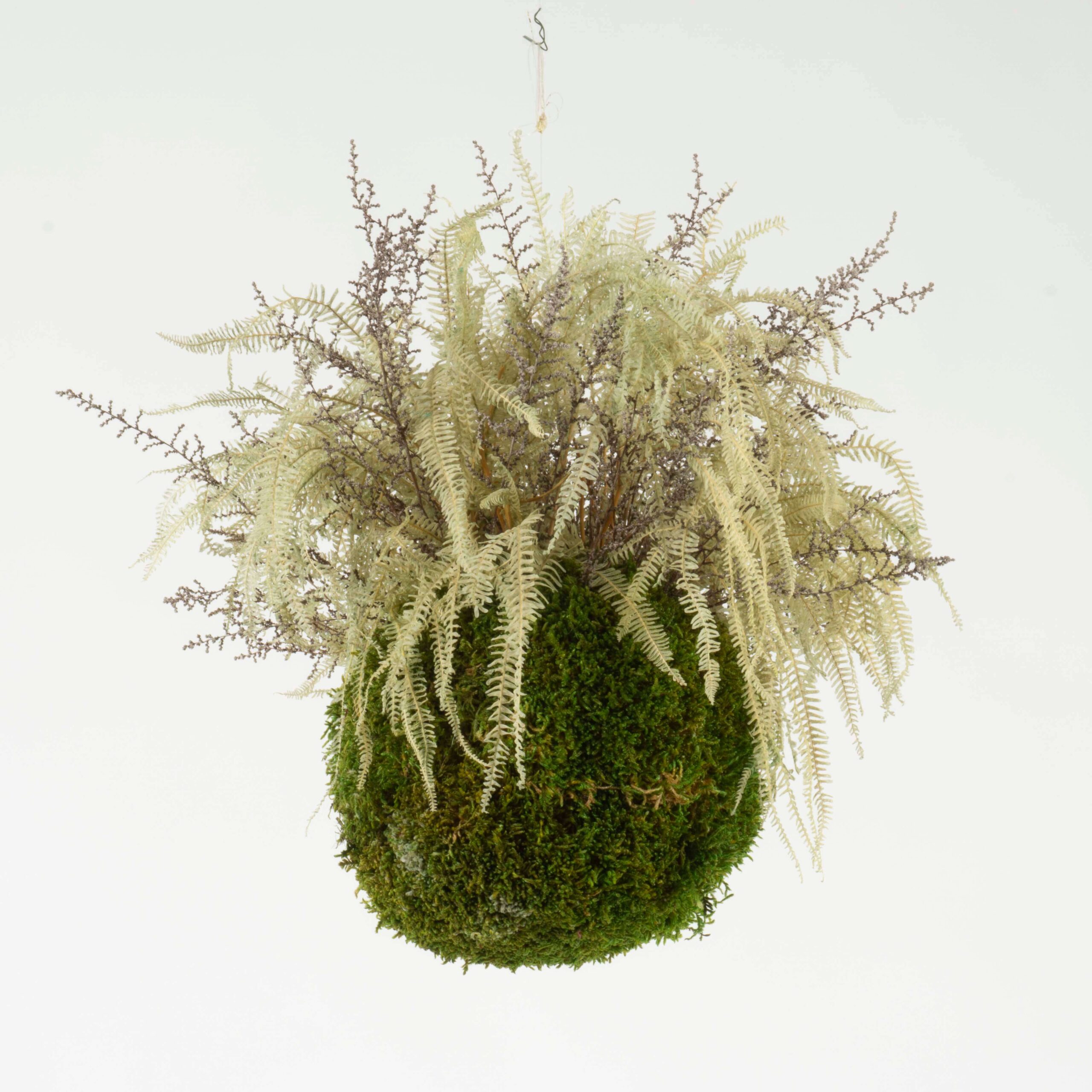 Kokedama Stoebe e Felce