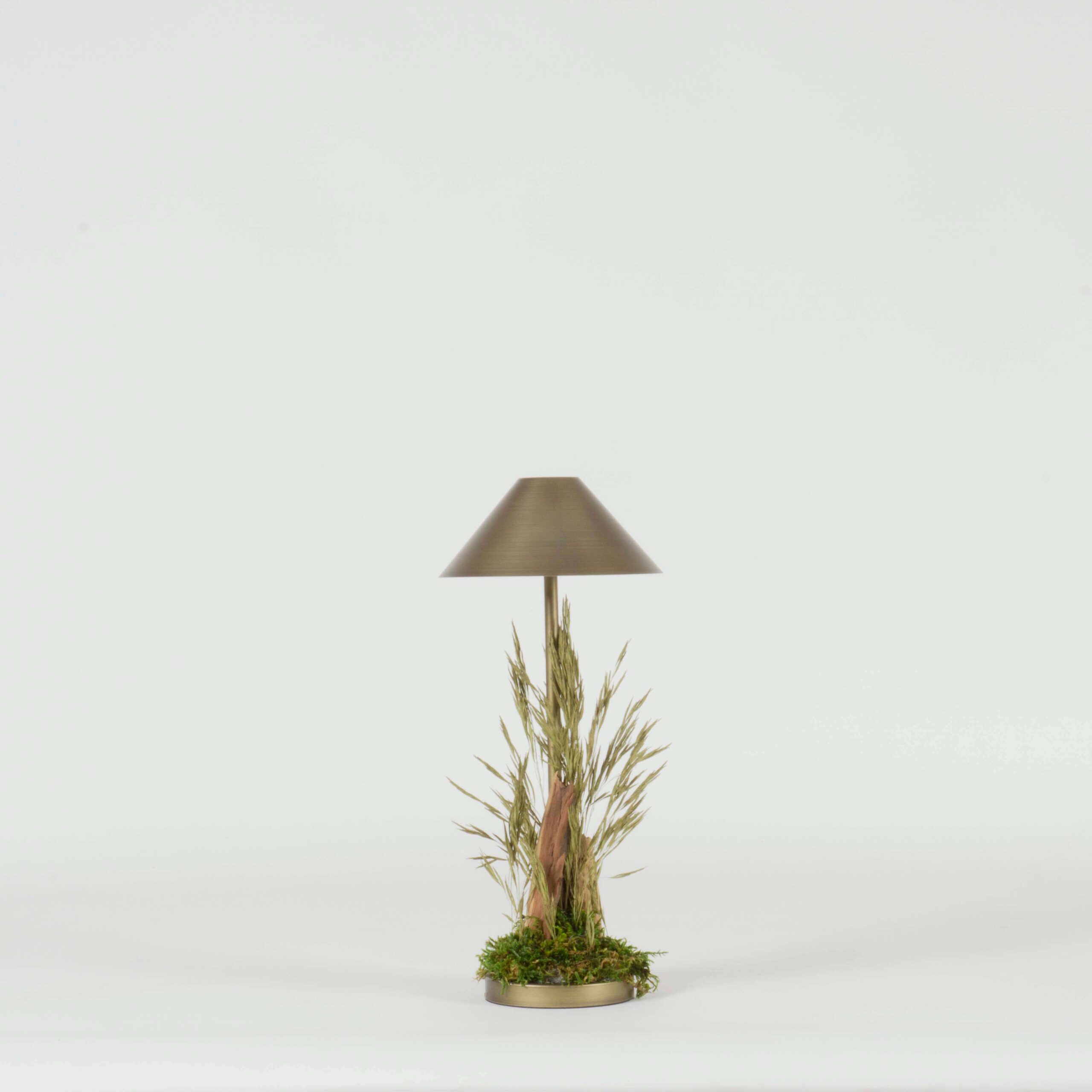 Poldina Oro design