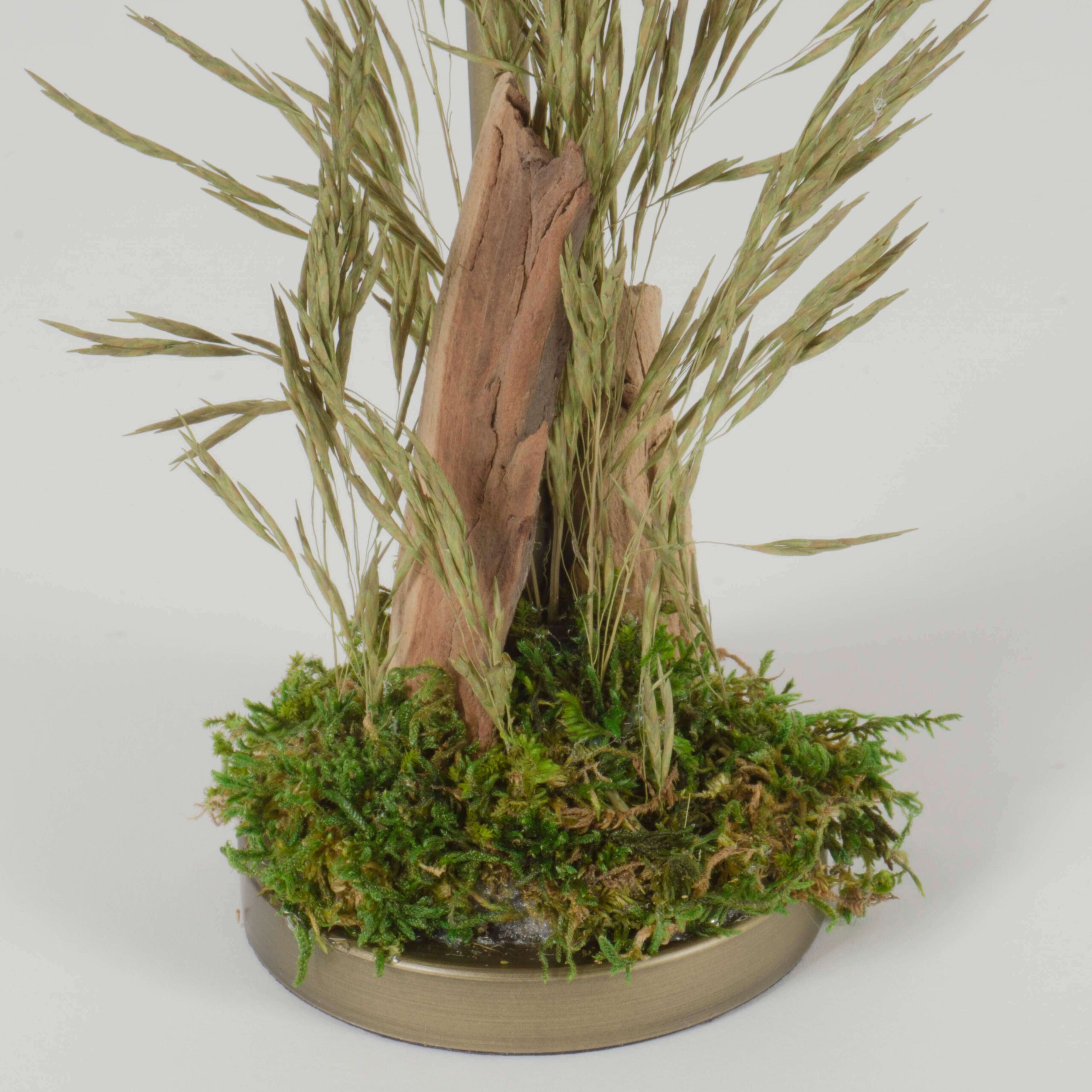 Poldina Oro design - immagine 2