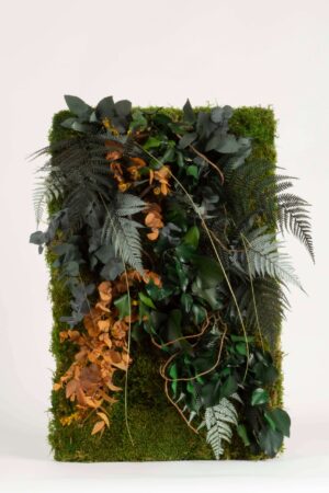 Quadro Cornice di Muschio